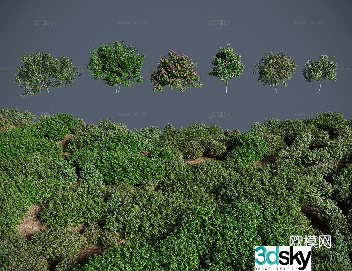 Modern shrubs thorny tung trees thorny tung trees mountain hibiscus empty tung trees woody ivory red 3D model