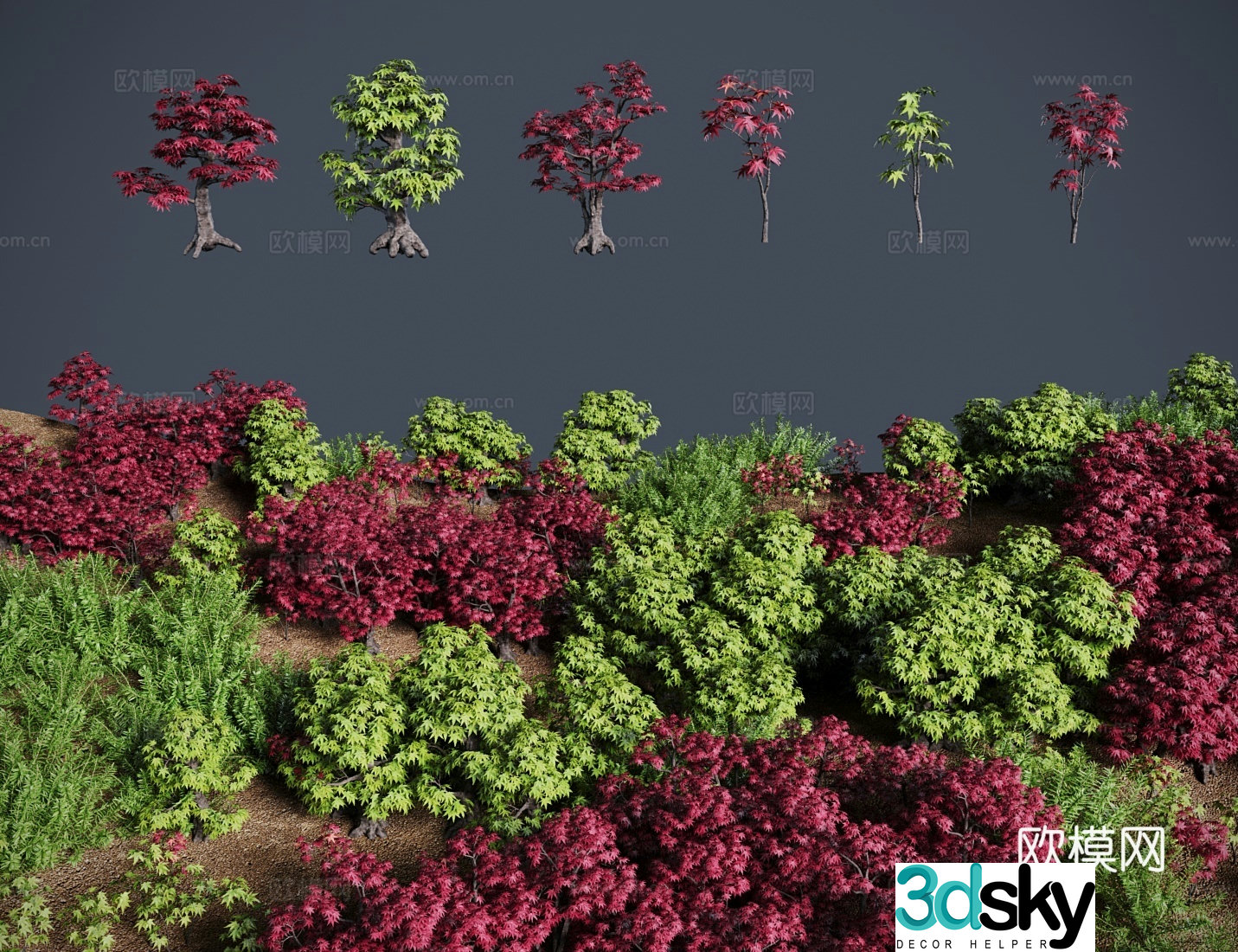 Modern Chicken Maple Bonsai Shrubs Full of Stars White Horse Bone Broken Leaf Holly Shrub 3D Model