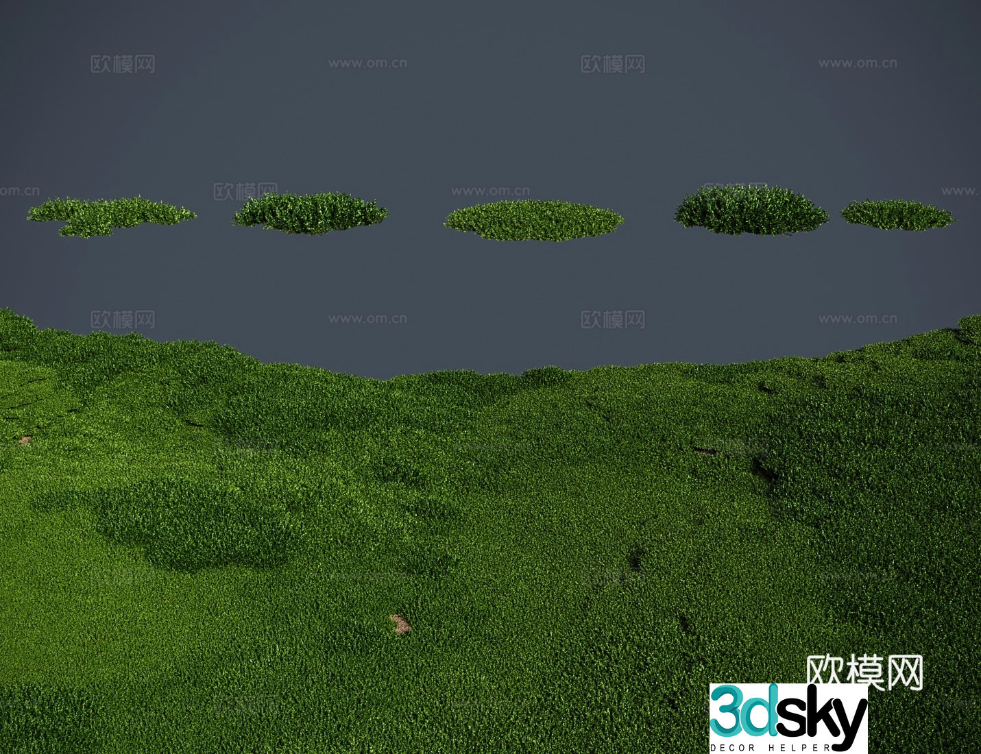 Modern meadow lawn Moss meadow 3d model