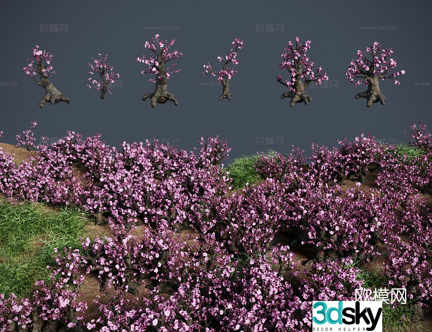 Modern landscape tree Plum Blossom bonsai shrub A snow frost beauty Snow beauty Cold beauty A spring 3D model