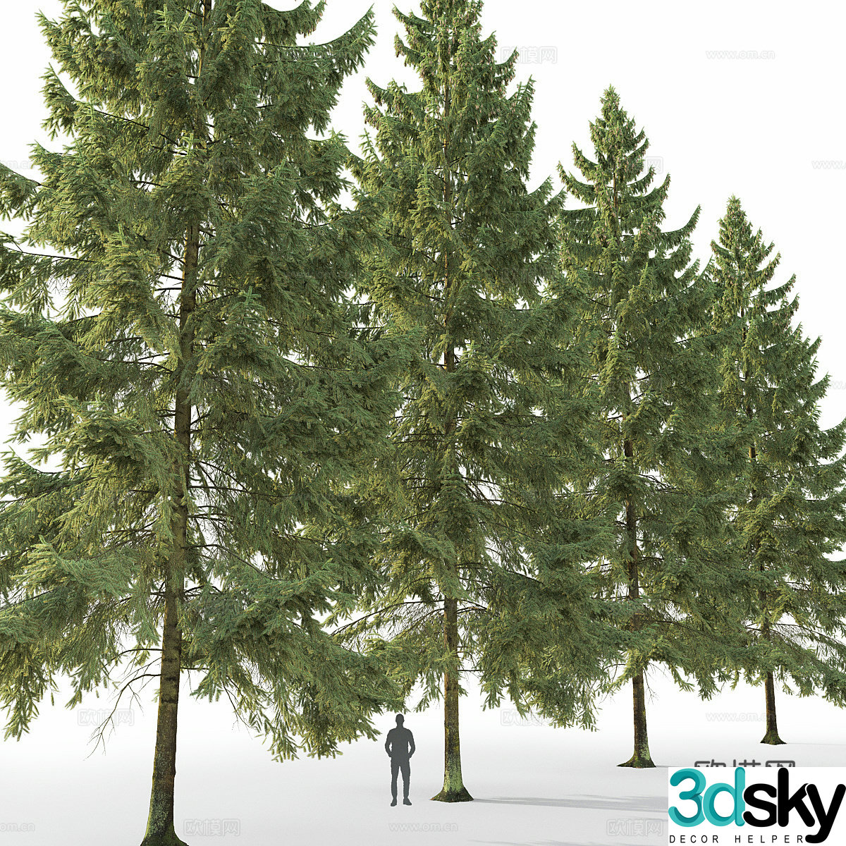 Tree Landscape Tree 3D Model