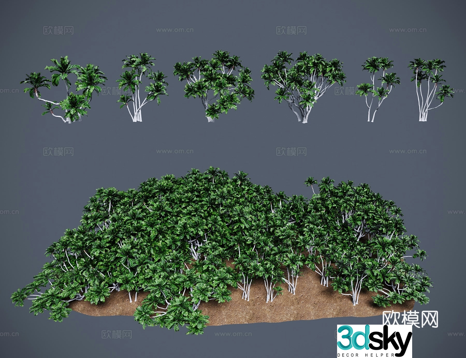 Modern landscape tree Filipino horse banyan chicken banyan big green tree big leaf banyan 3D model