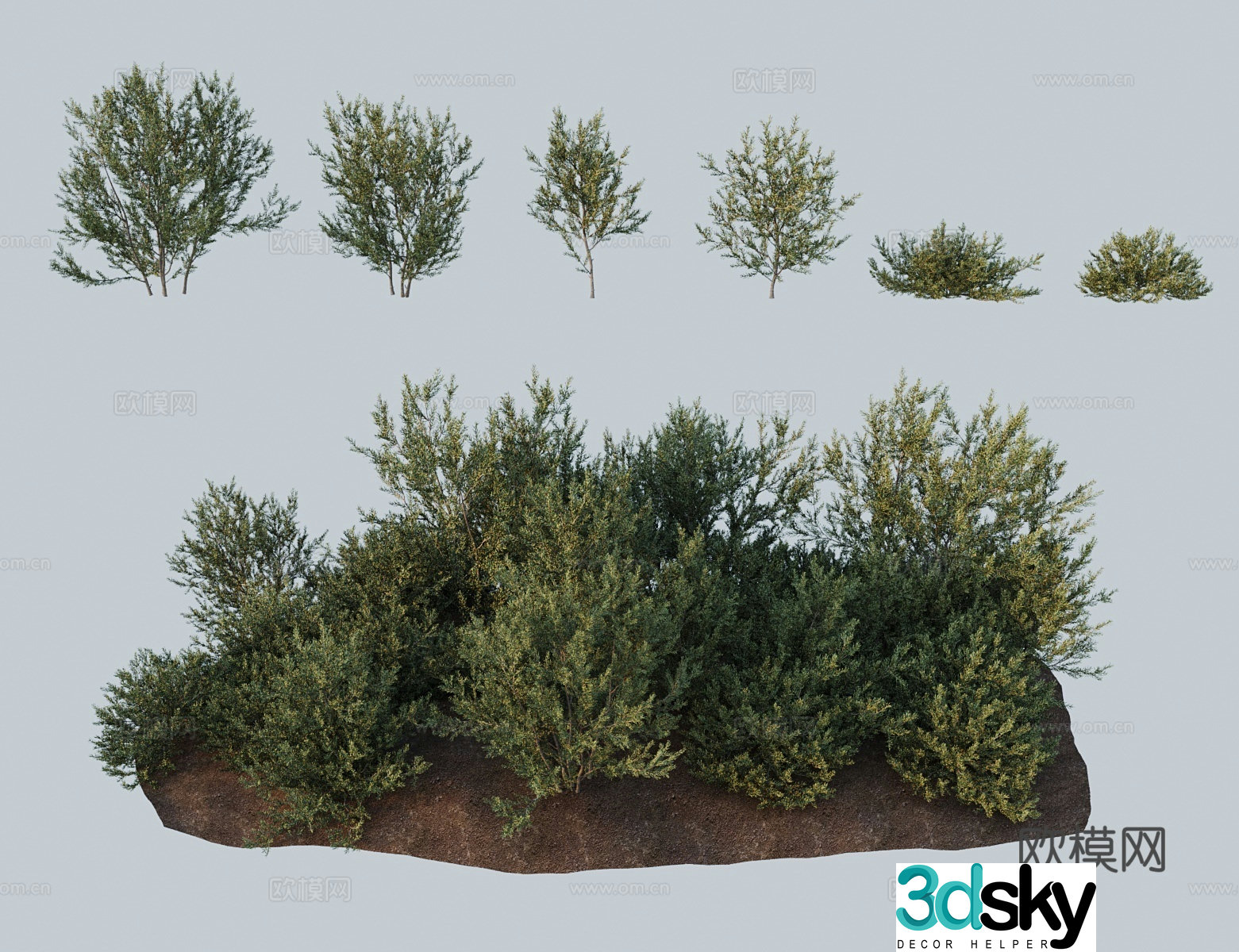 Modern shrubs salt ears salt bran salt skin wood white hydrochloric acid black peach and black salt bubble 3D model