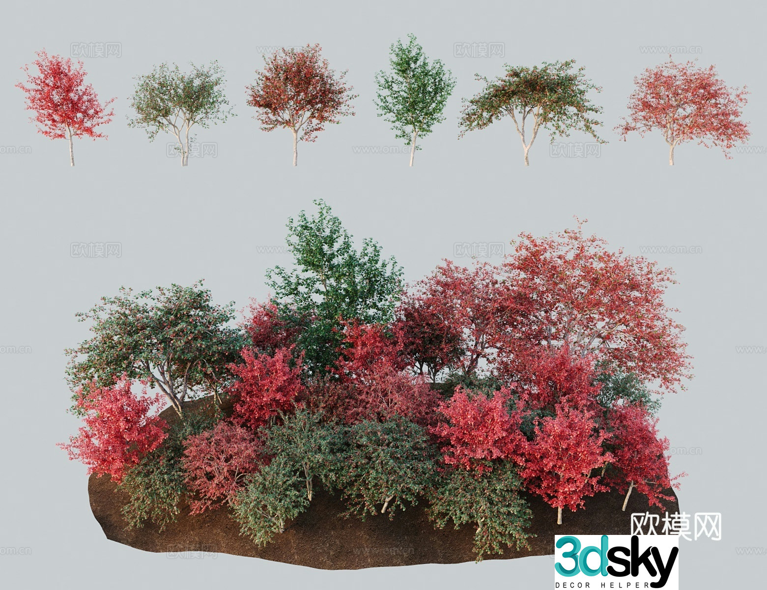 Modern landscape tree Persian hawthorn 3D model