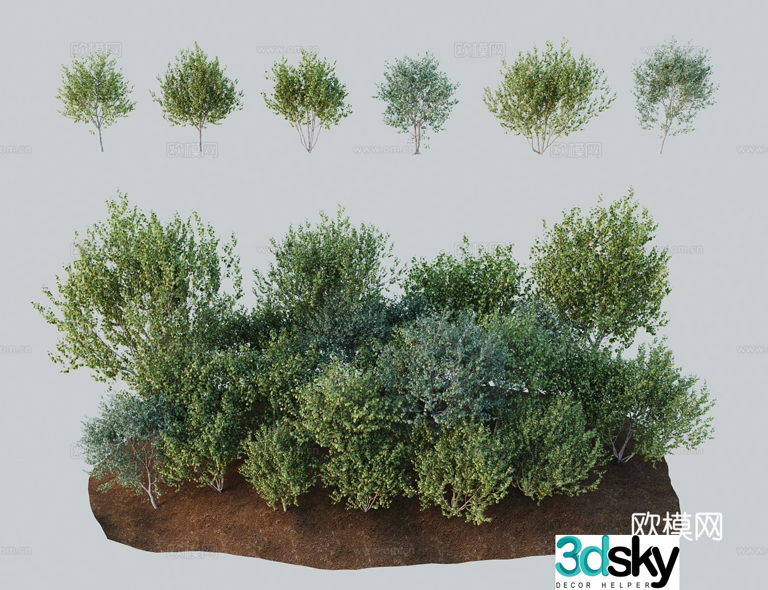 Modern landscape tree birch forest 3d model