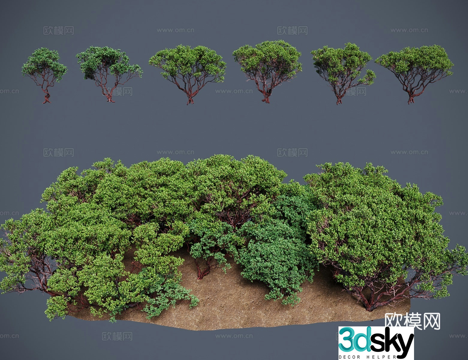 Modern Landscape Tree Mansa Tree 3D Model