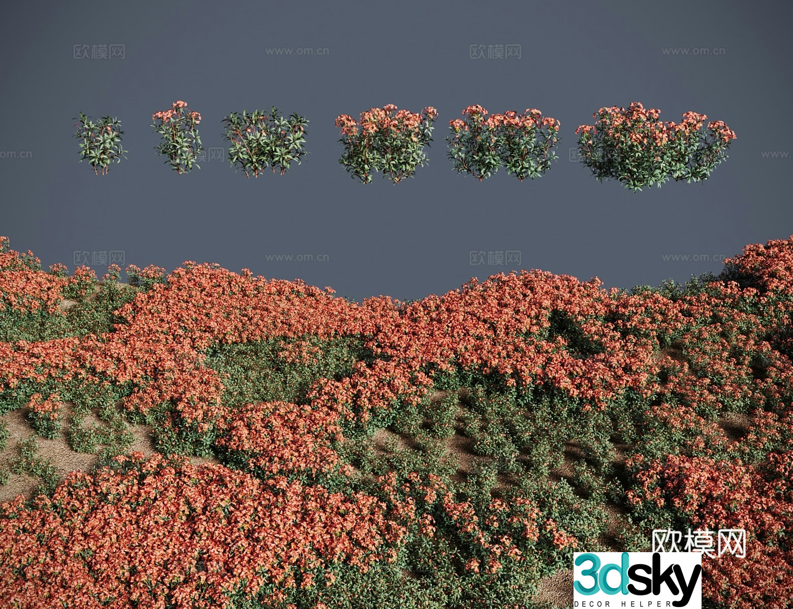 Modern landscape tree shrub round bud espuccino snow mountain espuccino orchid leaf espuccino red hair espuccino purple star espuccino 3D model