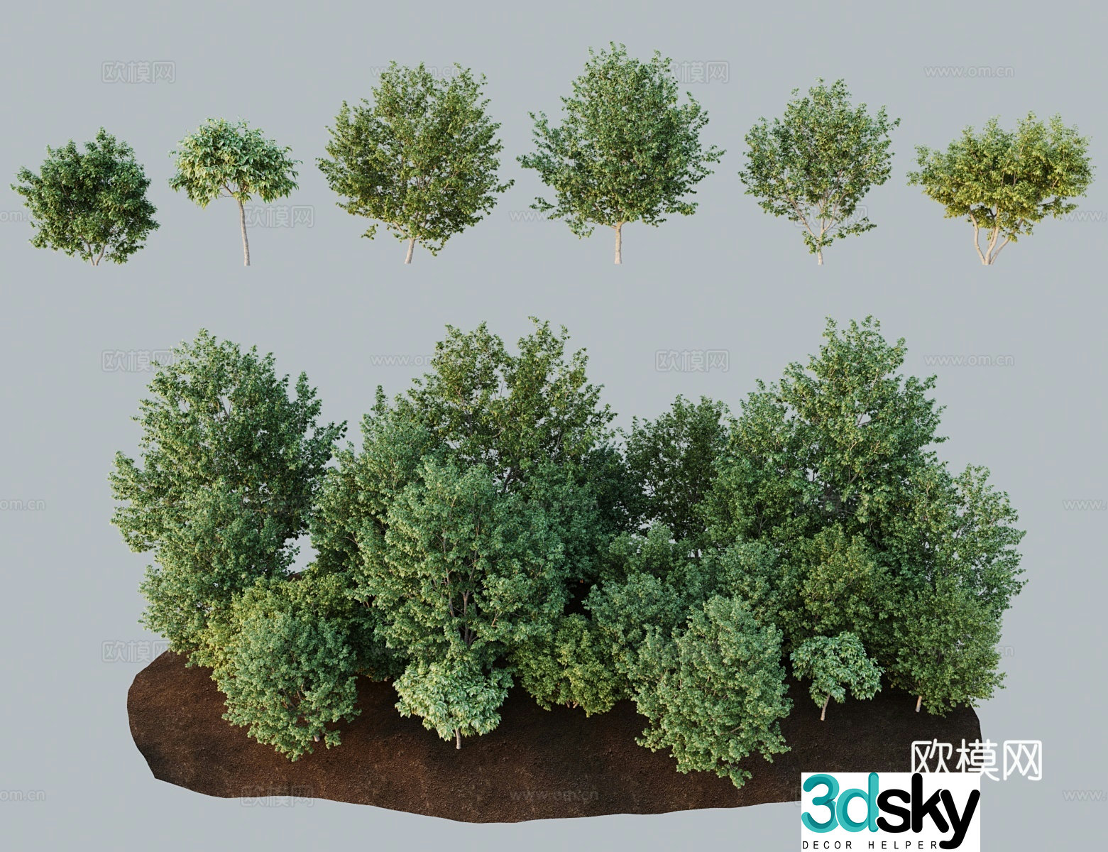 Modern tree landscape tree flower leaf leaf maple feather maple sugar maple 3D model