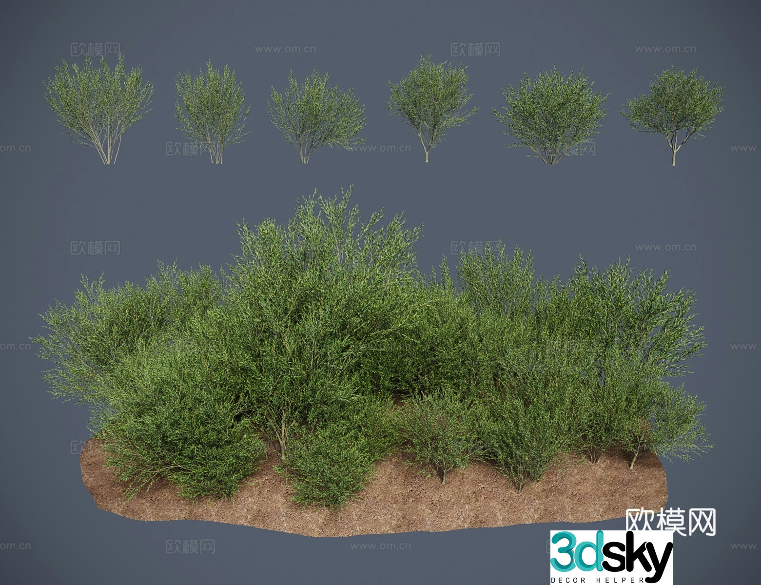 Modern shrub black willow root small red willow 3D model