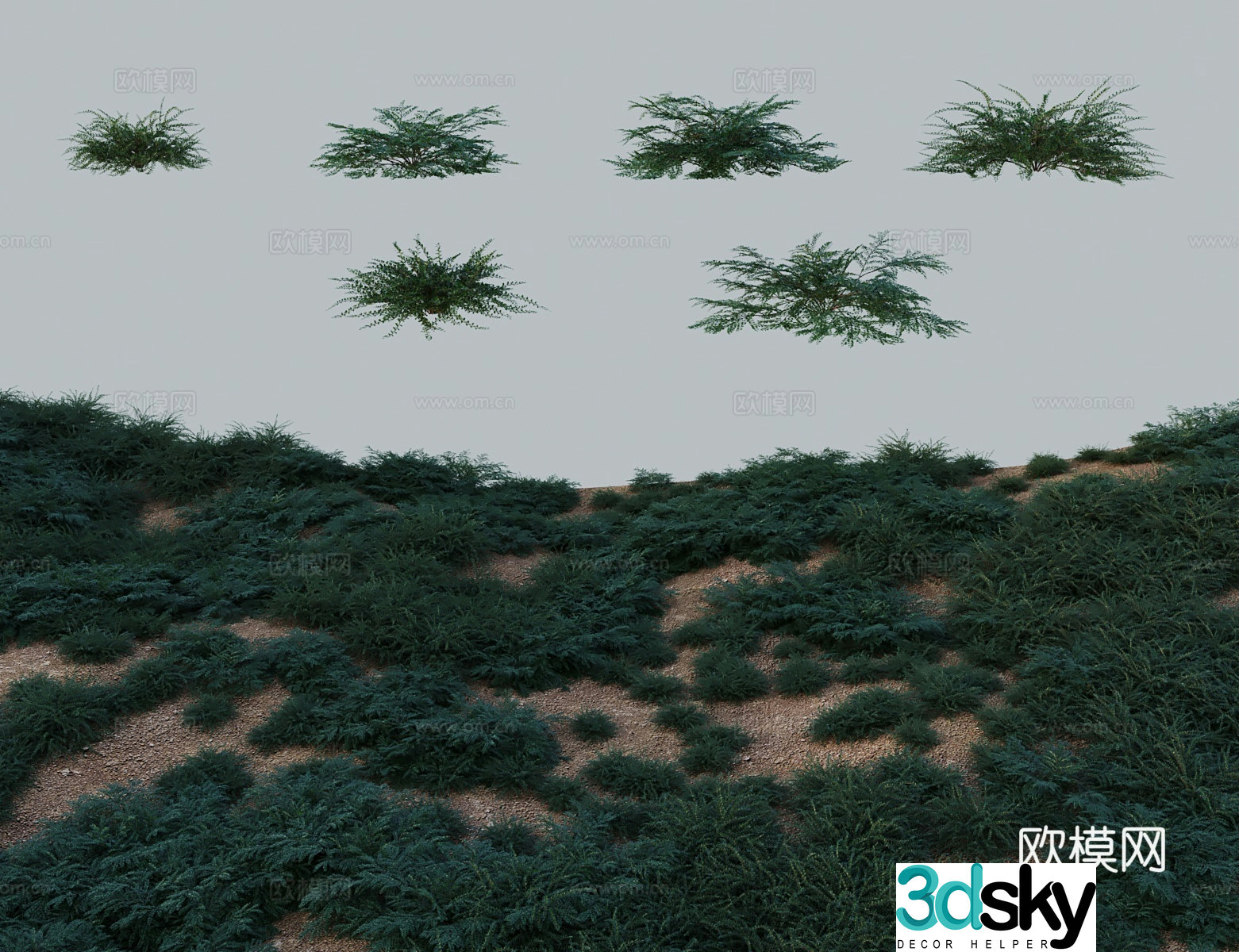 Modern tree shrubs flat branches skeletons small leaves short red 3D model