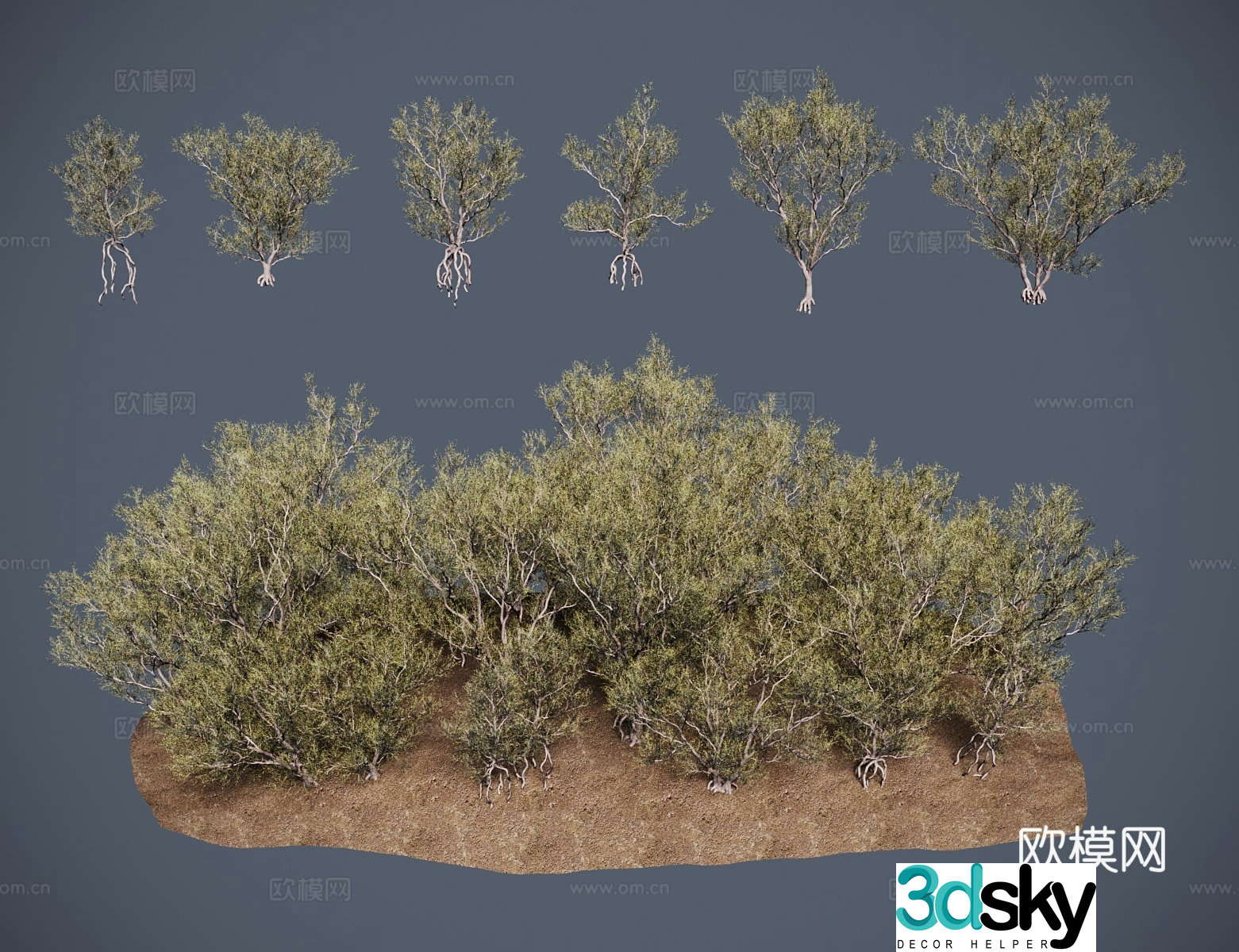 Modern shrubs Halaxy tree salt wood saxy saxy firewood 3D model