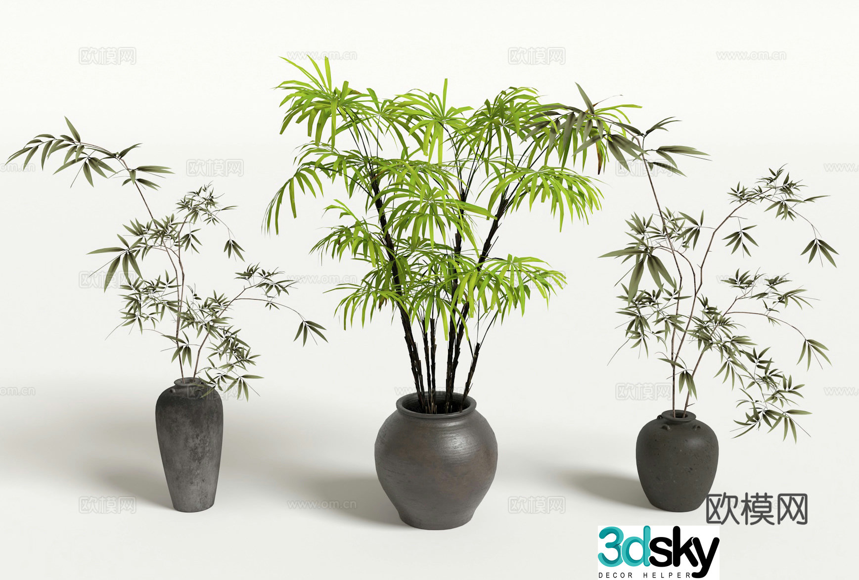Bamboo potted potted green plant 3D model