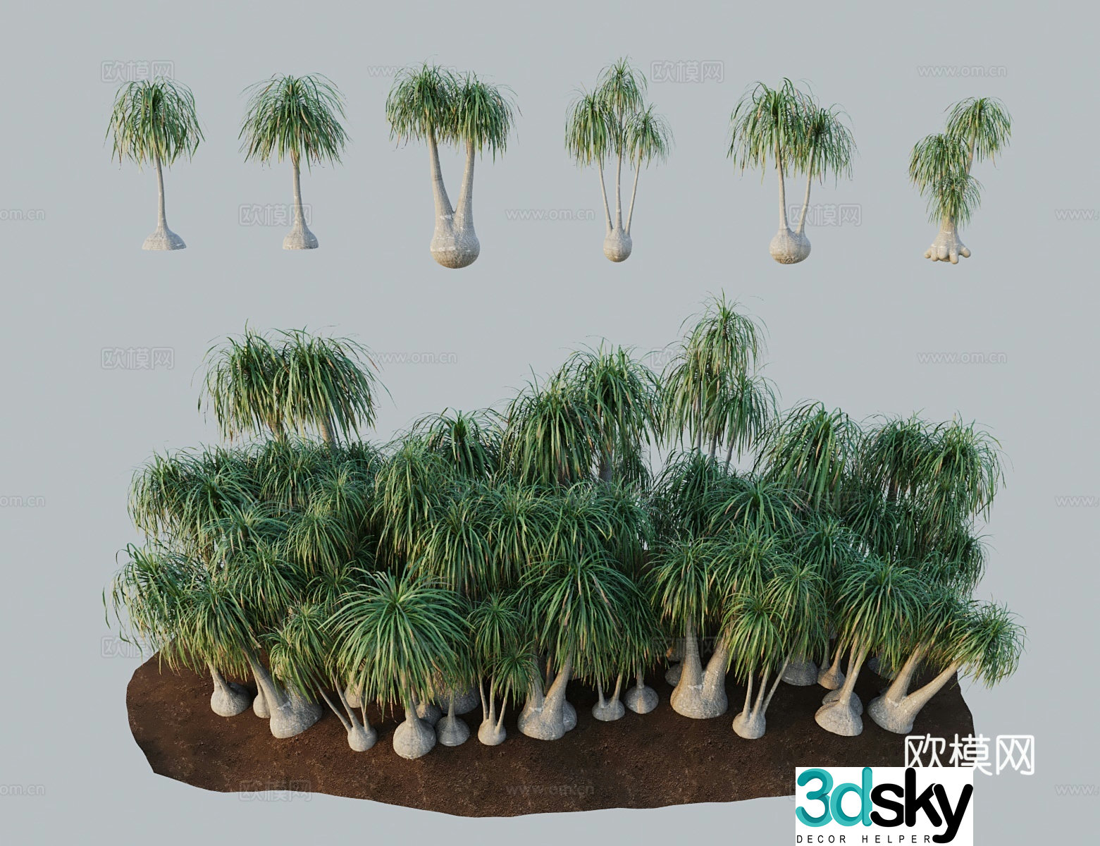 Modern landscape tree wine bottle orchid elephant leg tree 3d model