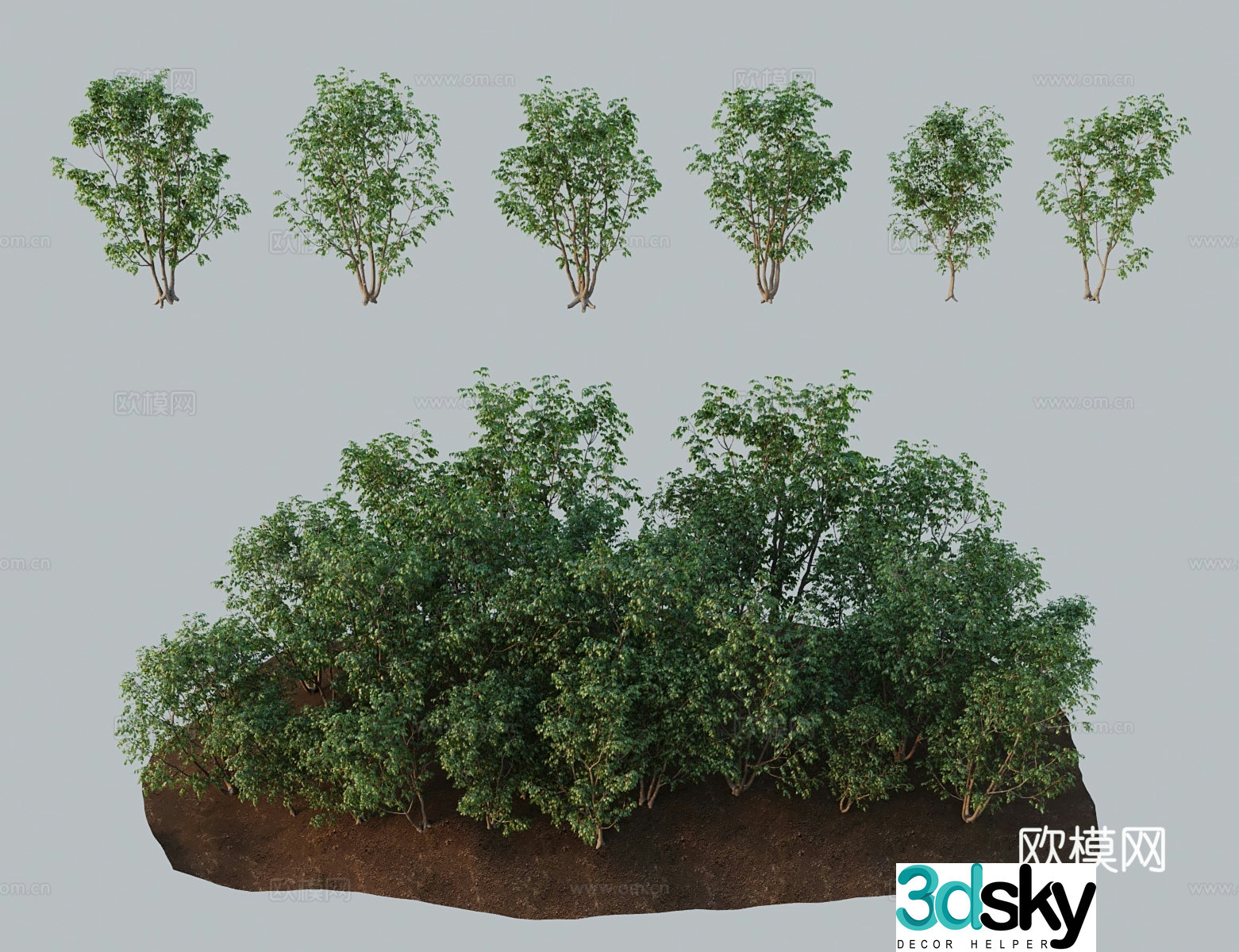 Modern landscape tree American ash tree ash 3d model