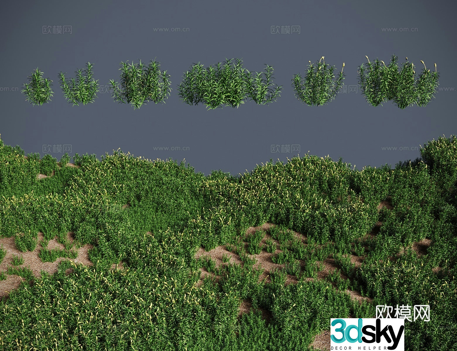 Modern landscape tree bush blonde moss single root grass 3d model