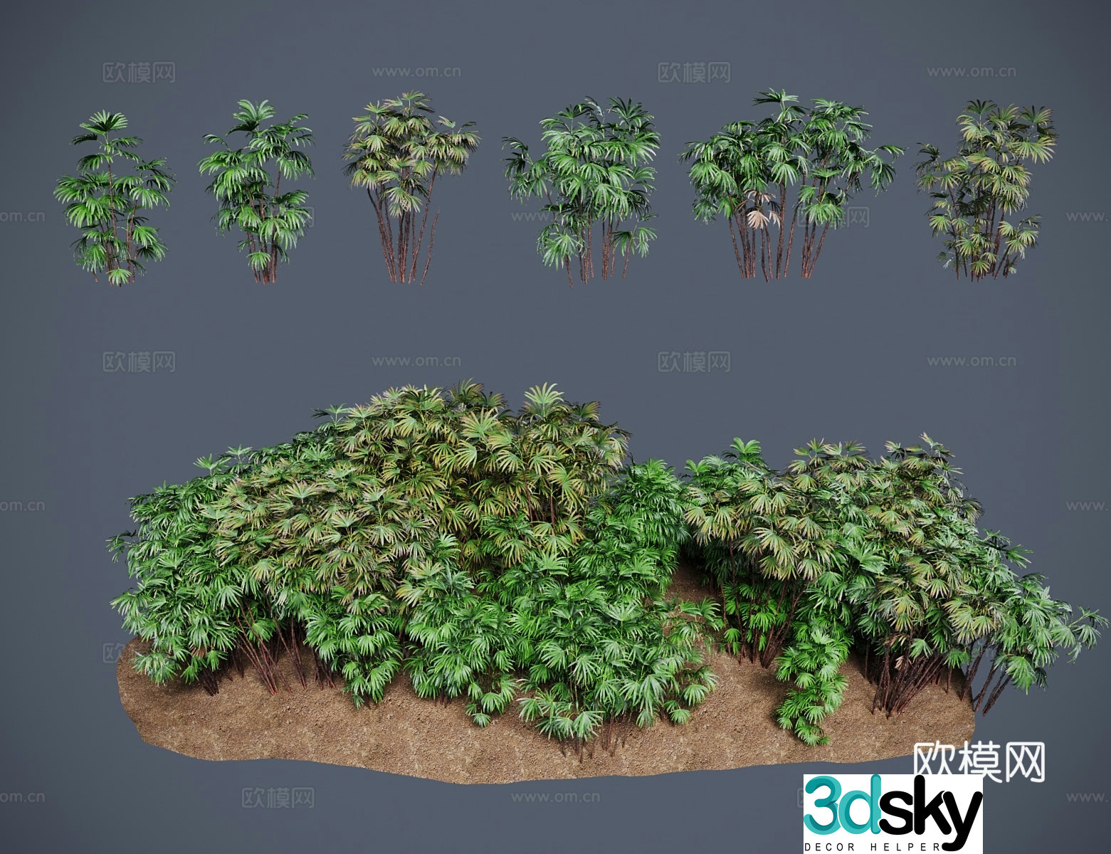 Modern landscape tree palm bamboo Guanyin bamboo tendon bamboo trunk bamboo tiger scattered bamboo palm bamboo dwarf palm bamboo 3d model