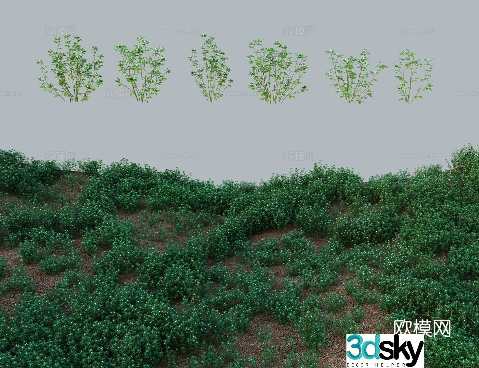 Modern tree shrub Vanilla vanilla smoked grass Vanilla orchid grass bell bell bell bell bell bell bell yellow ginger bitter vegetable 3D model