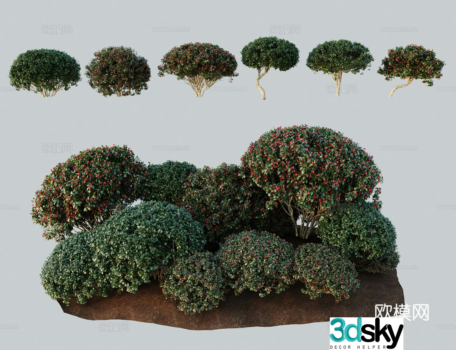 Modern landscape tree Ouwei Spear spindle tree 3d model