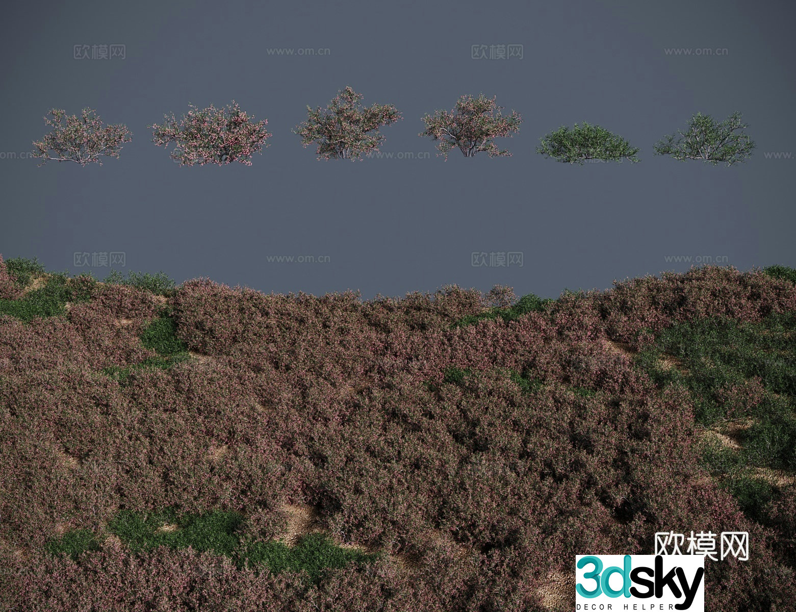 Modern shrubs soaked fruit sand jujube waning fruit jujube stinky wolfberry 3D model