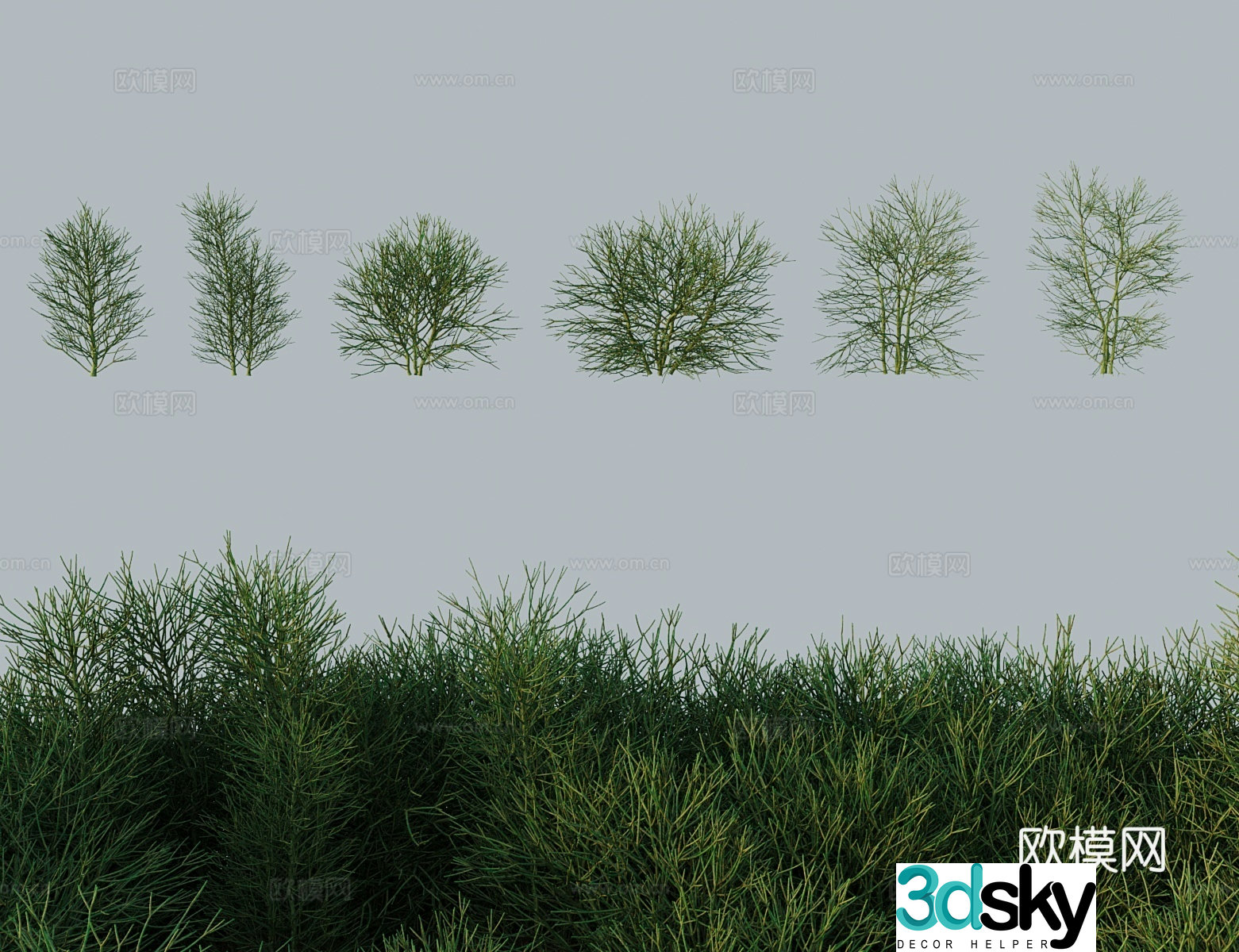 Modern tree shrubs single tree green jade tree green coral iron tree dragon bone tree fairy 3D model
