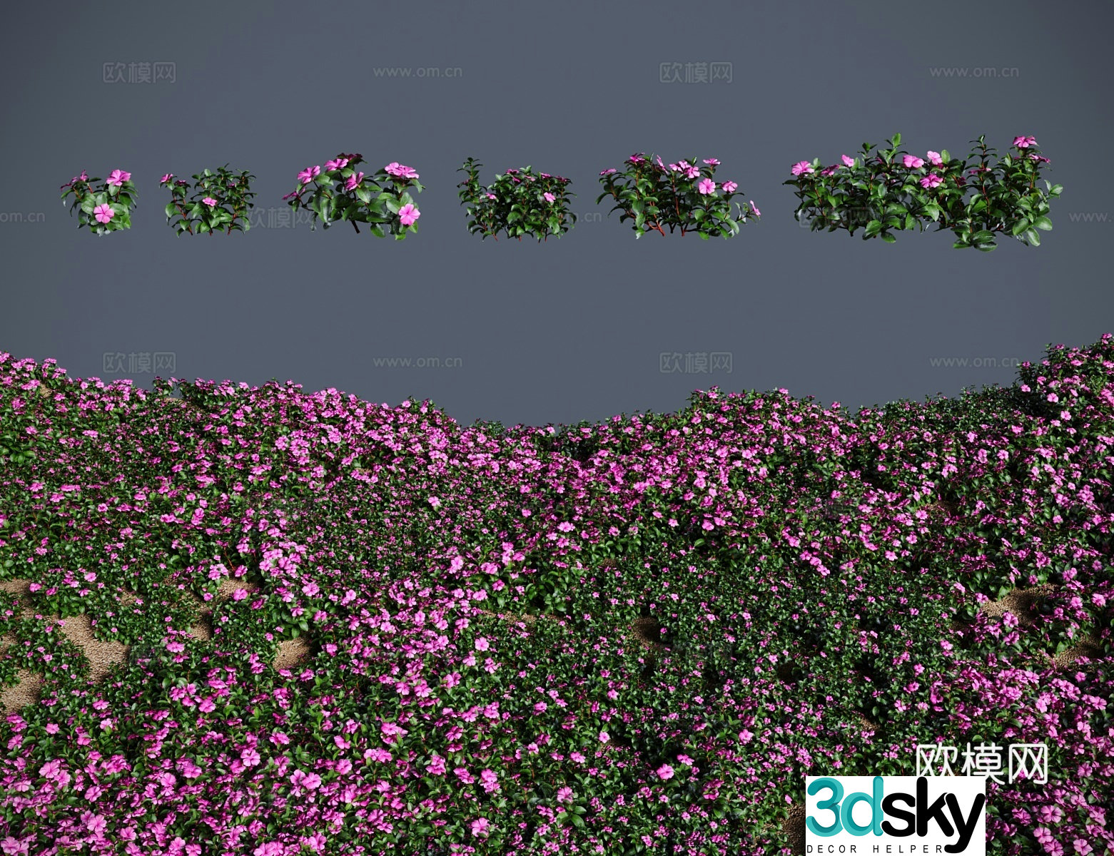 Modern shrubs 3d model of verdant flowers