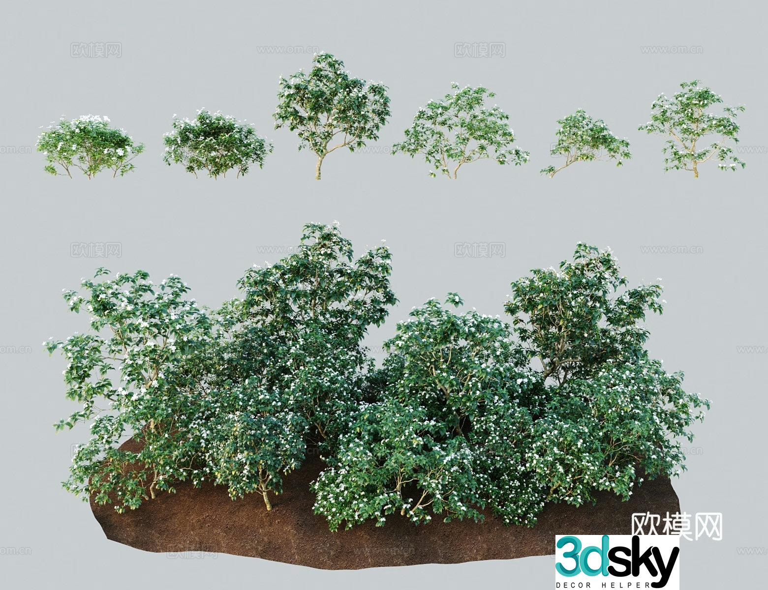 Modern landscape tree dog teeth flower white dog teeth lion flower tofu flower horse hoof fragrance white dog teeth dog epilepsy 3d model
