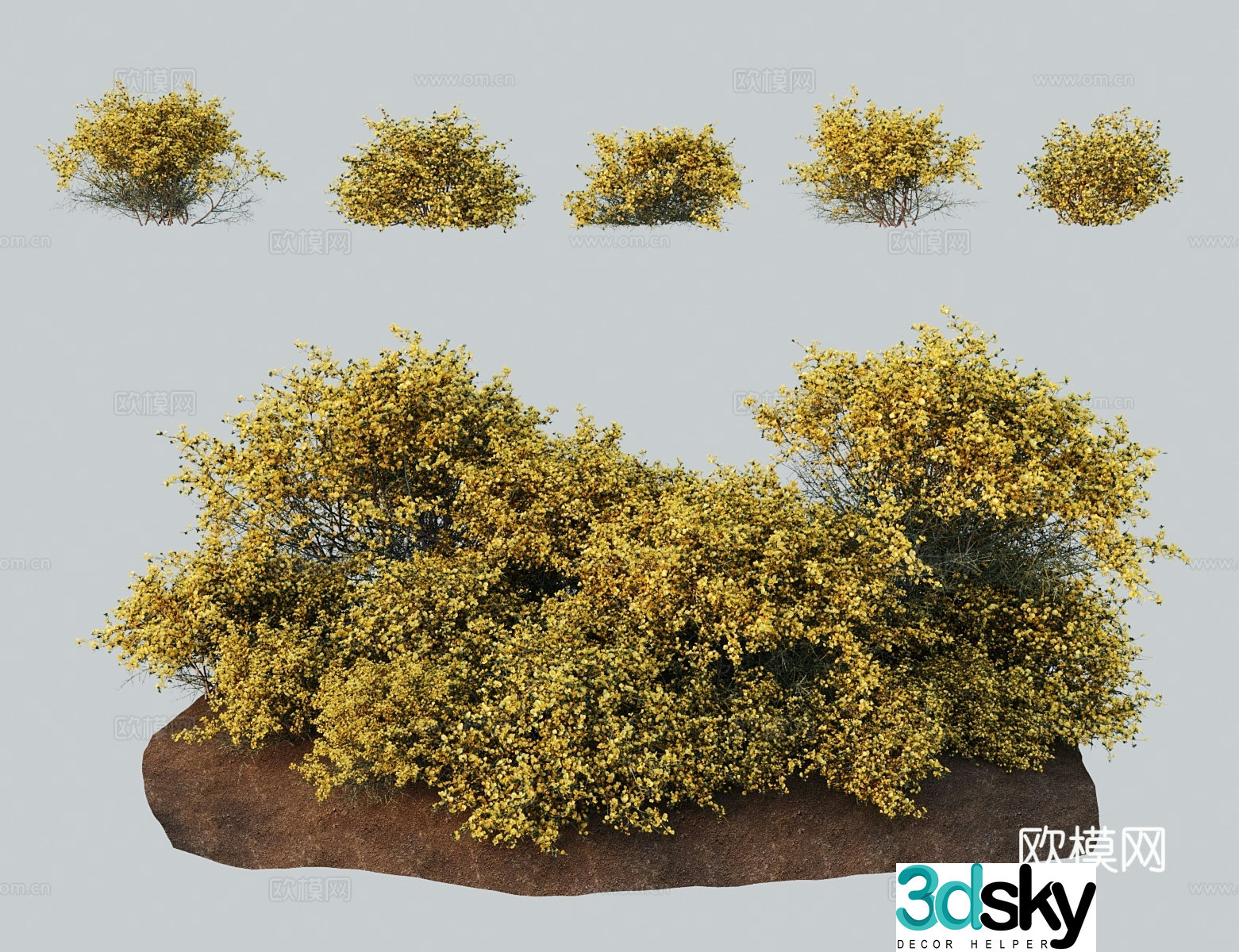 Modern landscape tree Scorpio dye wood gorse flower Grey isoflavin hibiscus flower Dye wood because of dye 3D model