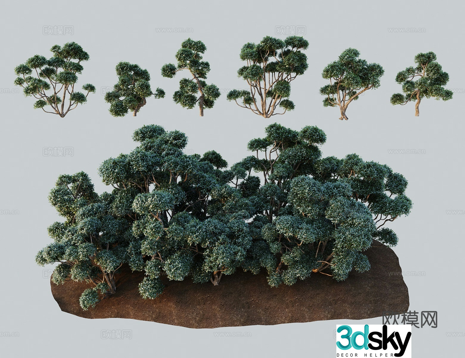 Modern shrub wide leaf forsythia yellow flower pole Huangshoudan forsythia heart-connected shell 3D model
