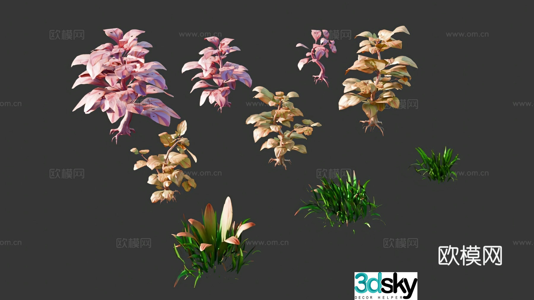 Animation plants cartoon plants 3d model
