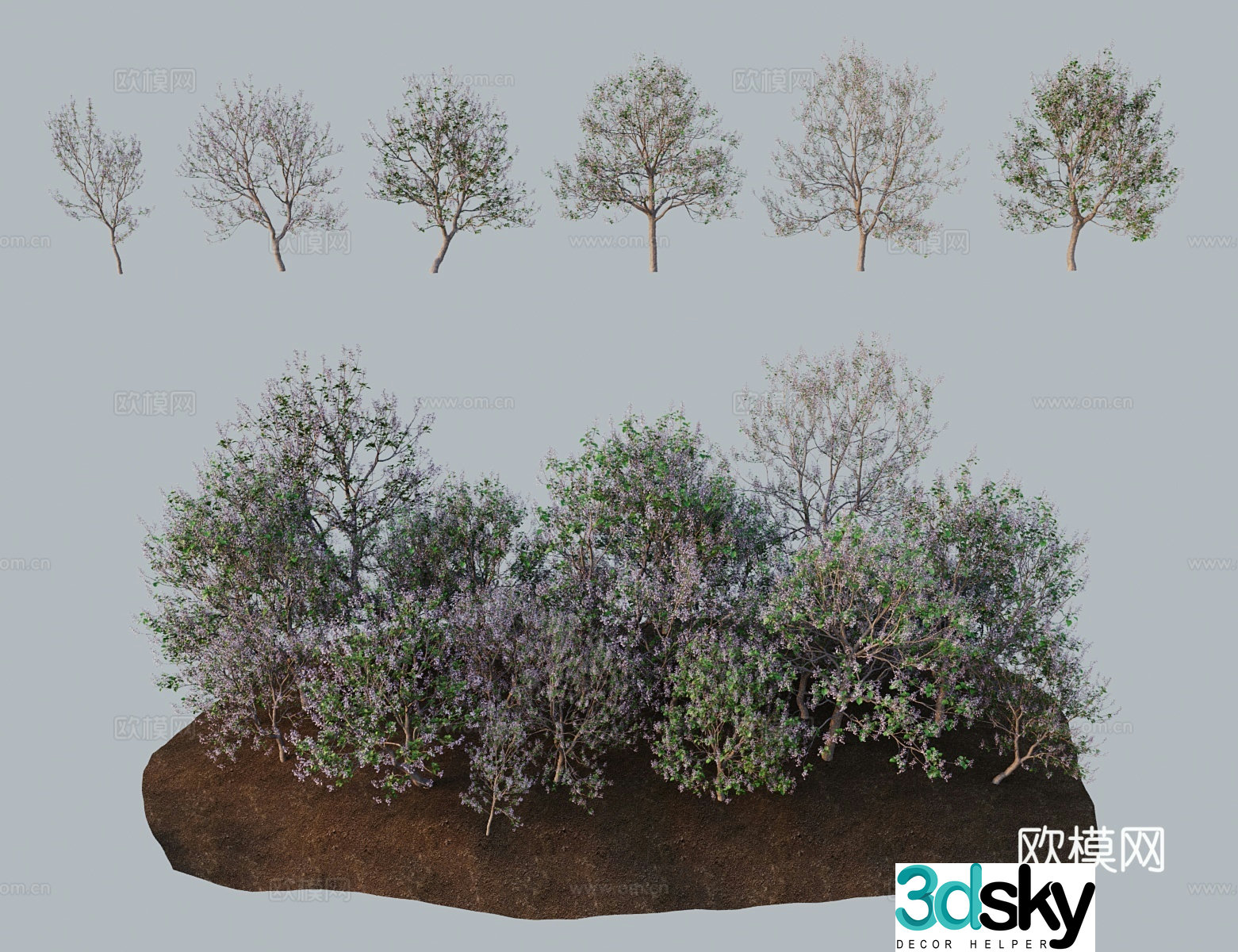Modern tree landscape tree hairy Paulownia light Paulownia Lankao Paulownia white flower Paulownia Taiwan 3D model