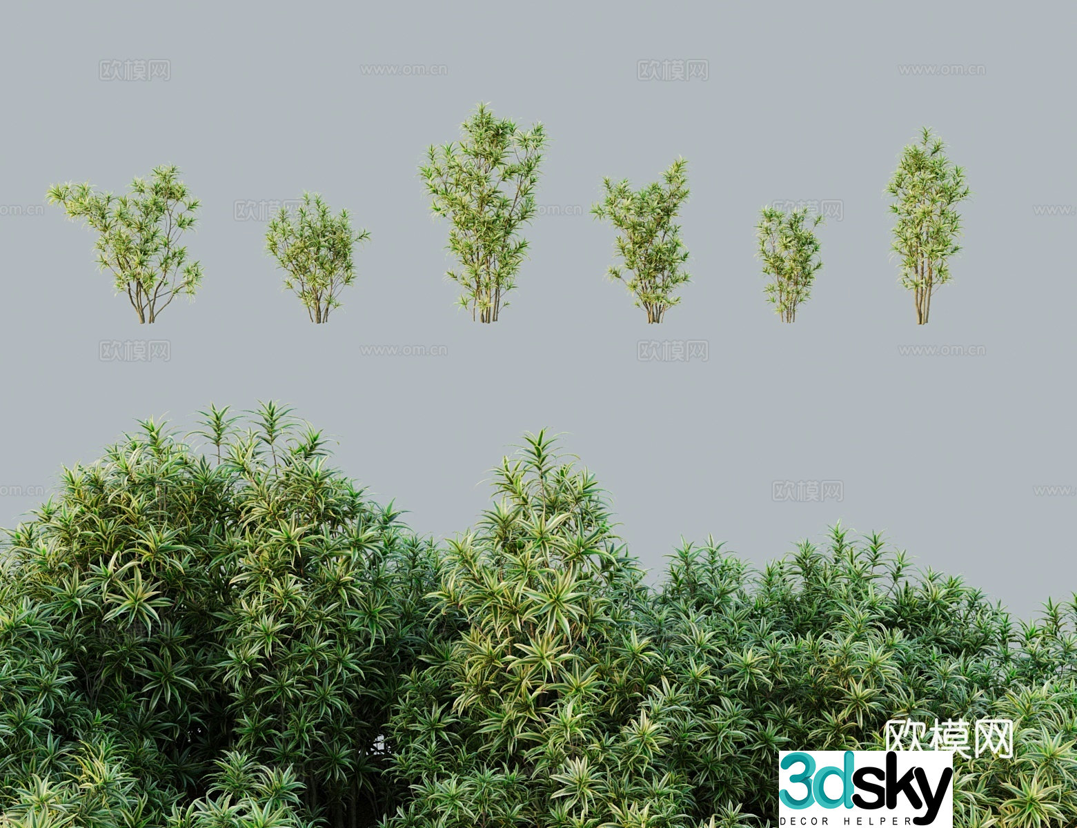 Modern tree shrub Lily bamboo short leaf bamboo banana 3D model