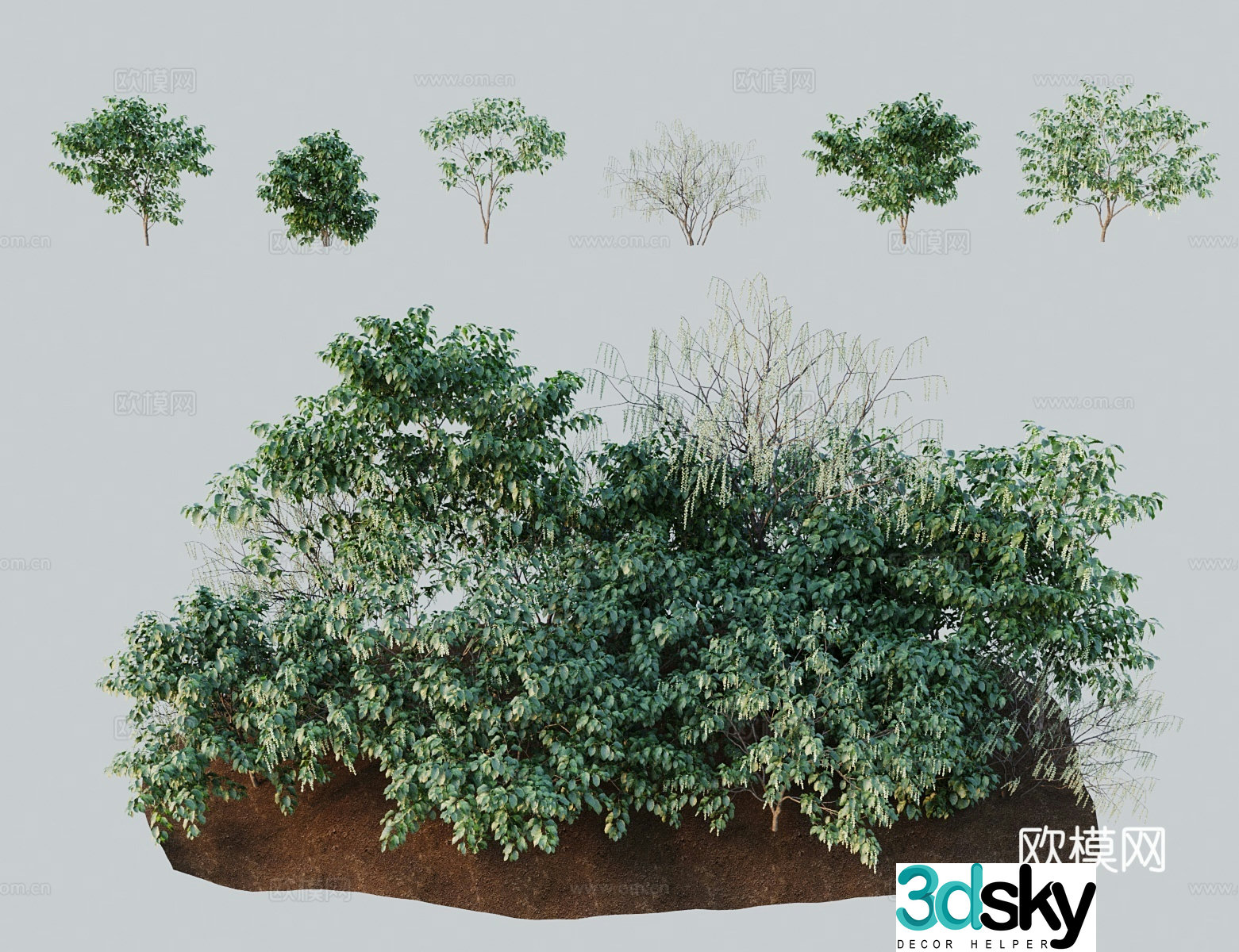 Modern landscape tree Early spring flag flowers and cold seeds Radish medicine and grass flowers 3D model