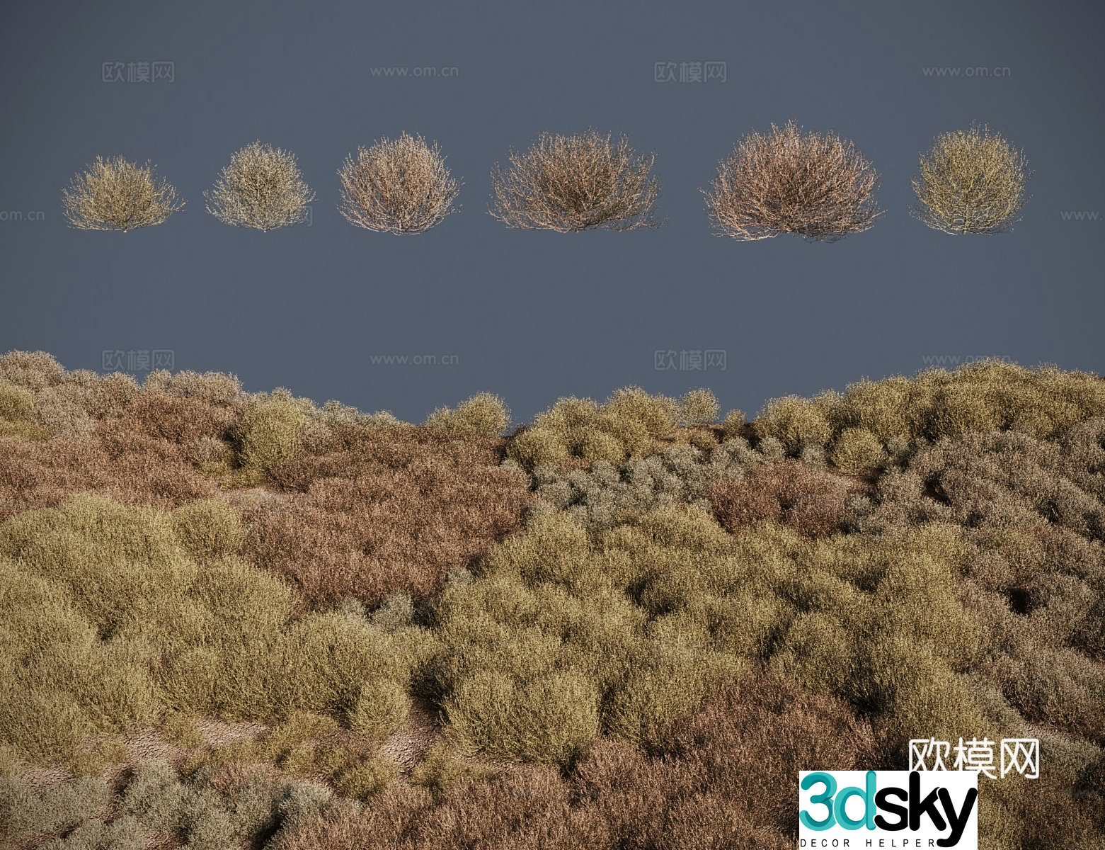 Modern shrub tumbleweed pigtails Russian thorn sams 3d model