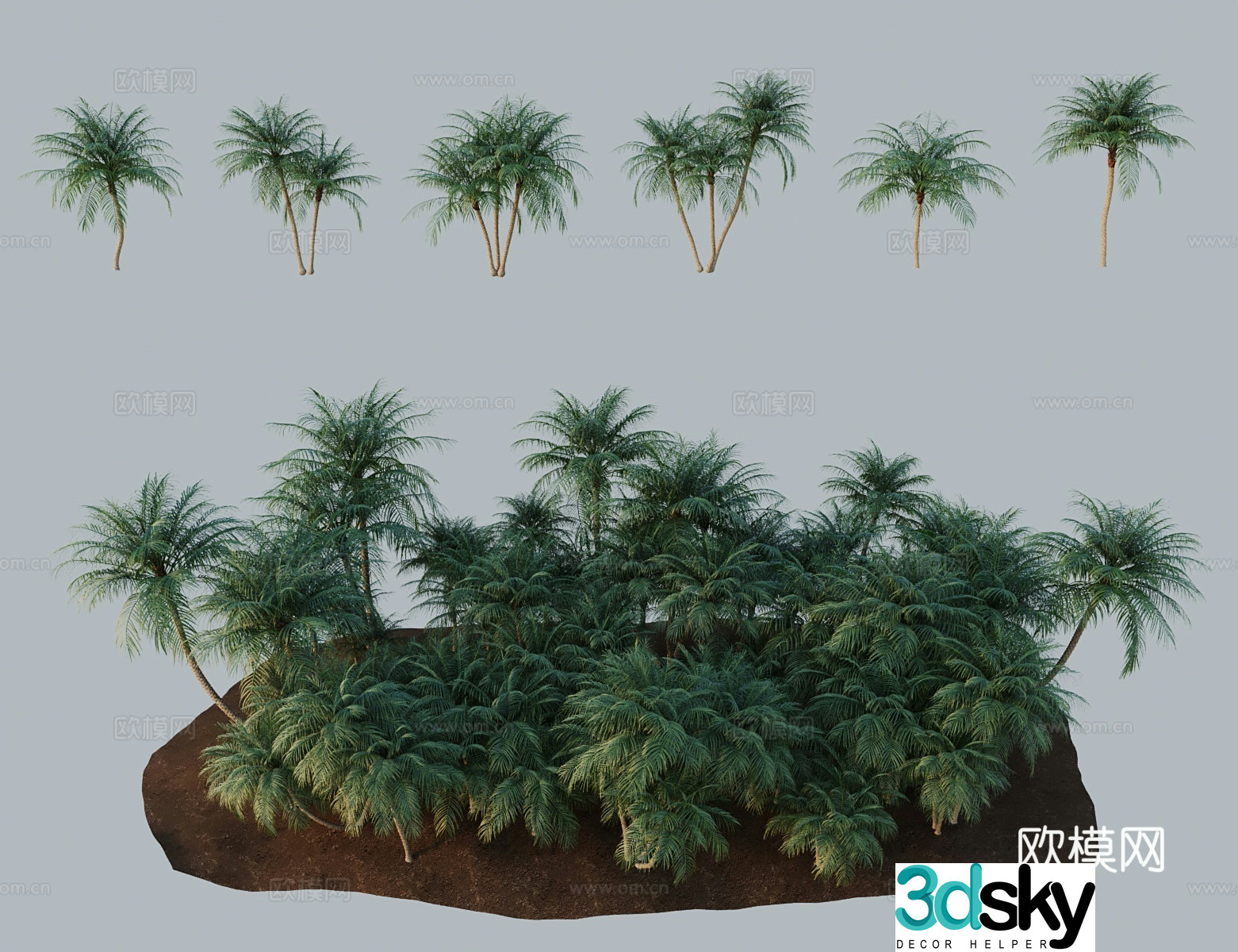 Modern landscape tree riverside thorny soft leaf needle sun beautiful pearl sun prince Robbie coconut 3D model
