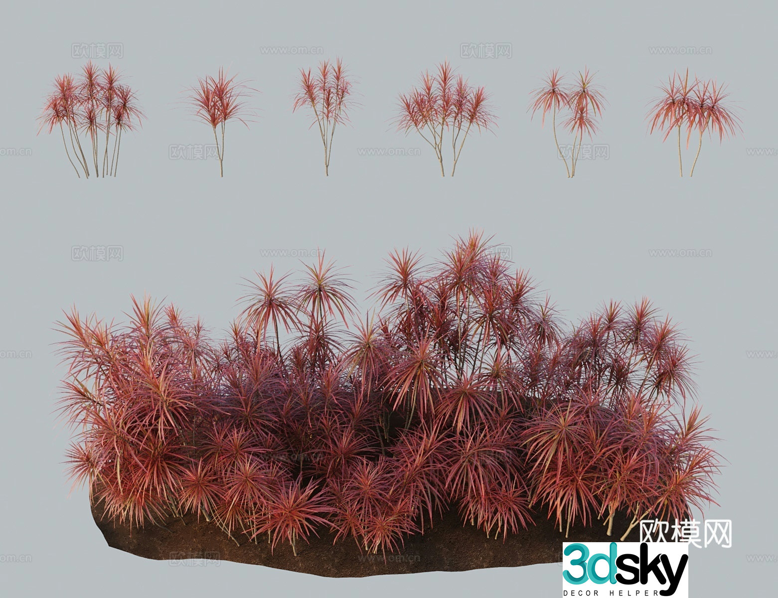 Modern landscape tree horsetail iron tree three-color millennium wood red edge dragon blood tree 3d model