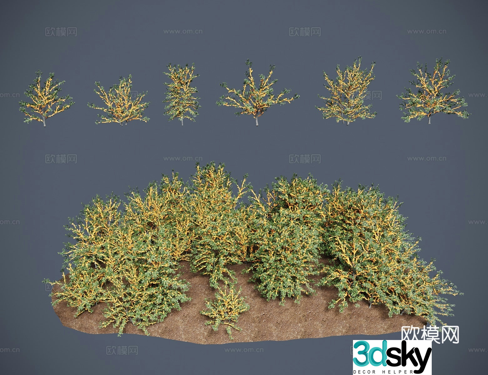 Modern shrubs sea buckthorn mountain lacquer sand plum sour jujube seed monkey eye grass 3D model