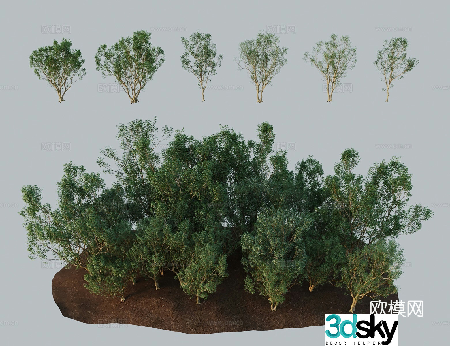 Modern landscape tree compound leaf maple sugar maple ash leaf maple golden leaf ash leaf maple golden leaf ash leaf maple 3D model