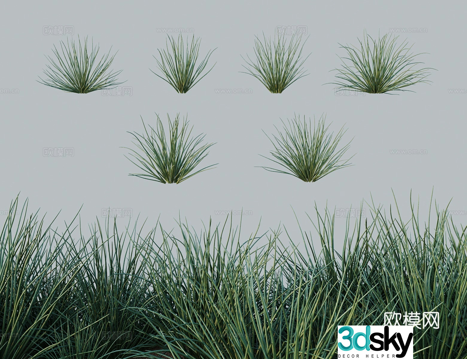 Modern tree shrub Mongolian leek Mengyuan sand onion tea onion 3D model