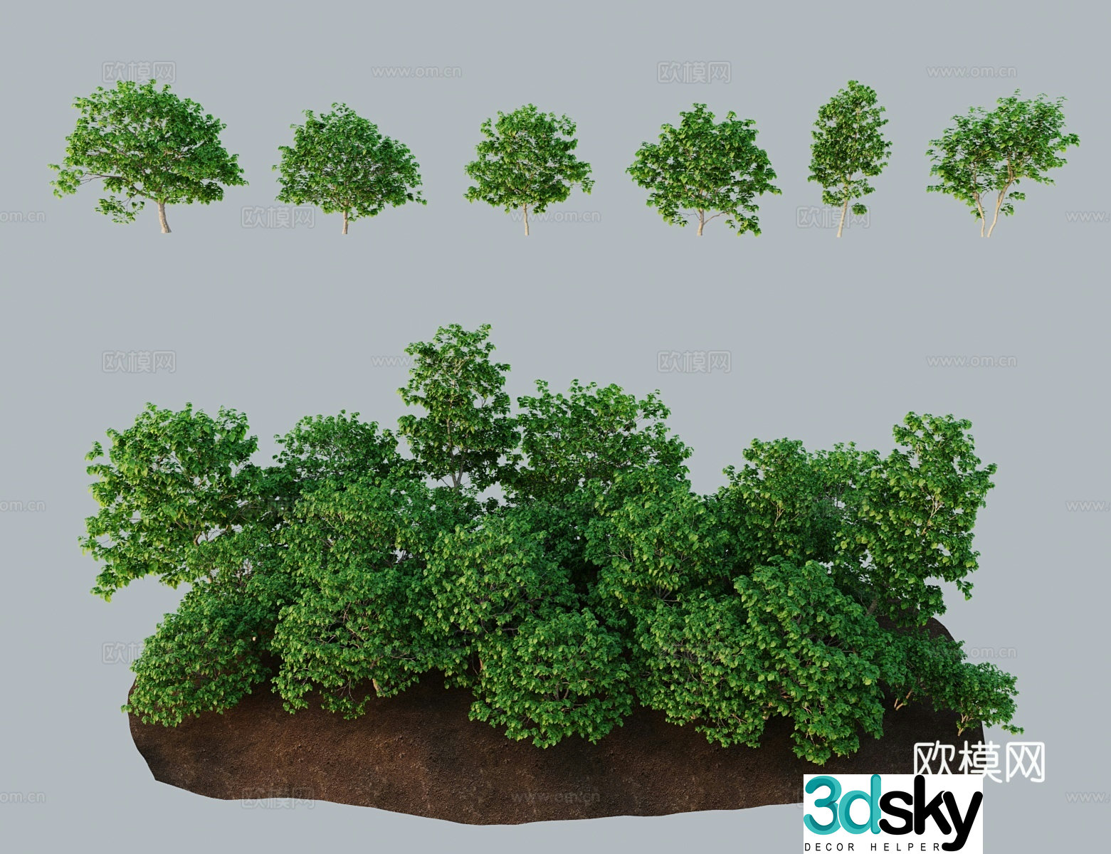 Modern tree landscape tree American Catalan tree Rowan Water Tung River Rowan Water Tung Pao 3D model