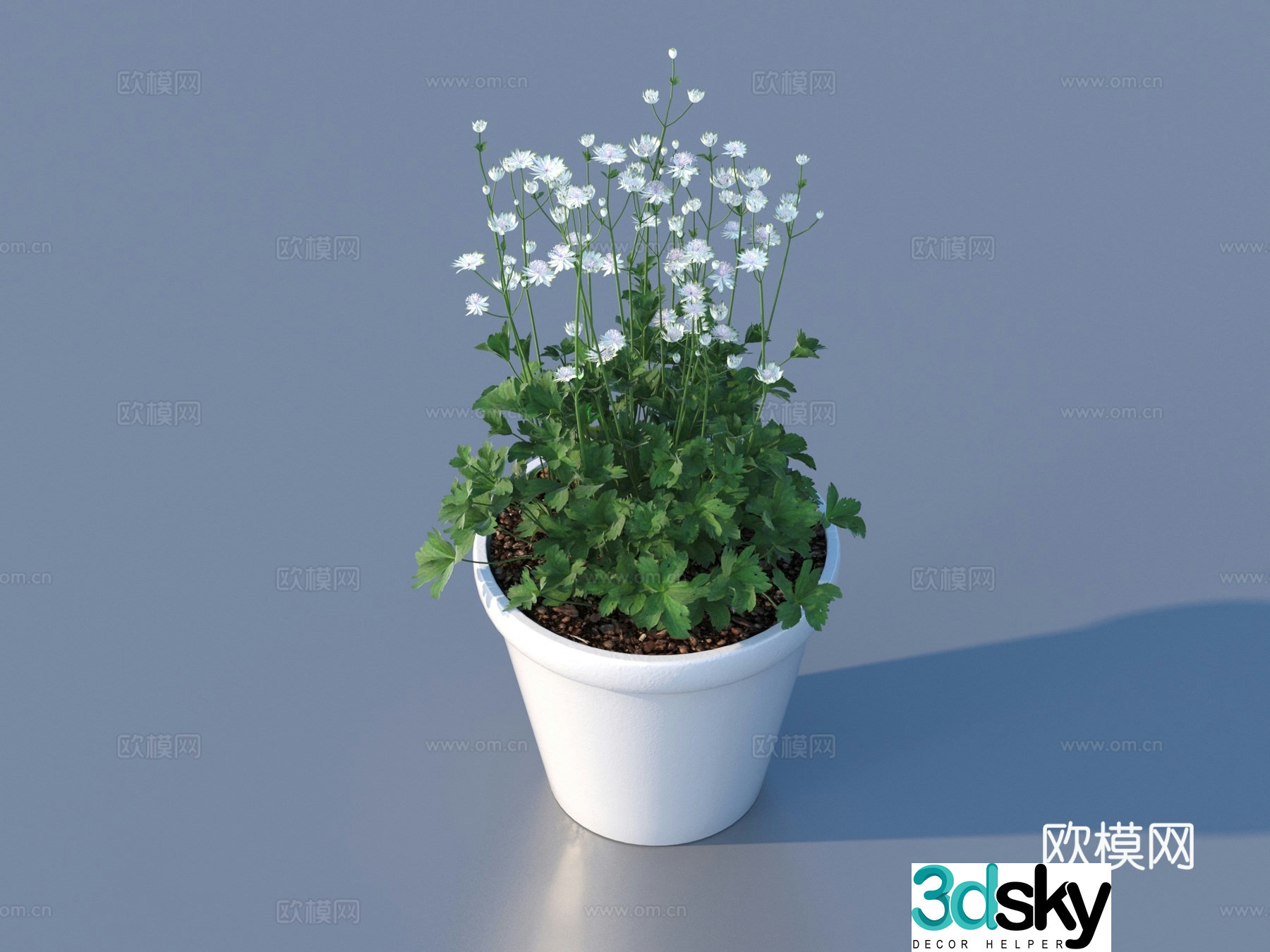 Flower pot pot green plant 3d model