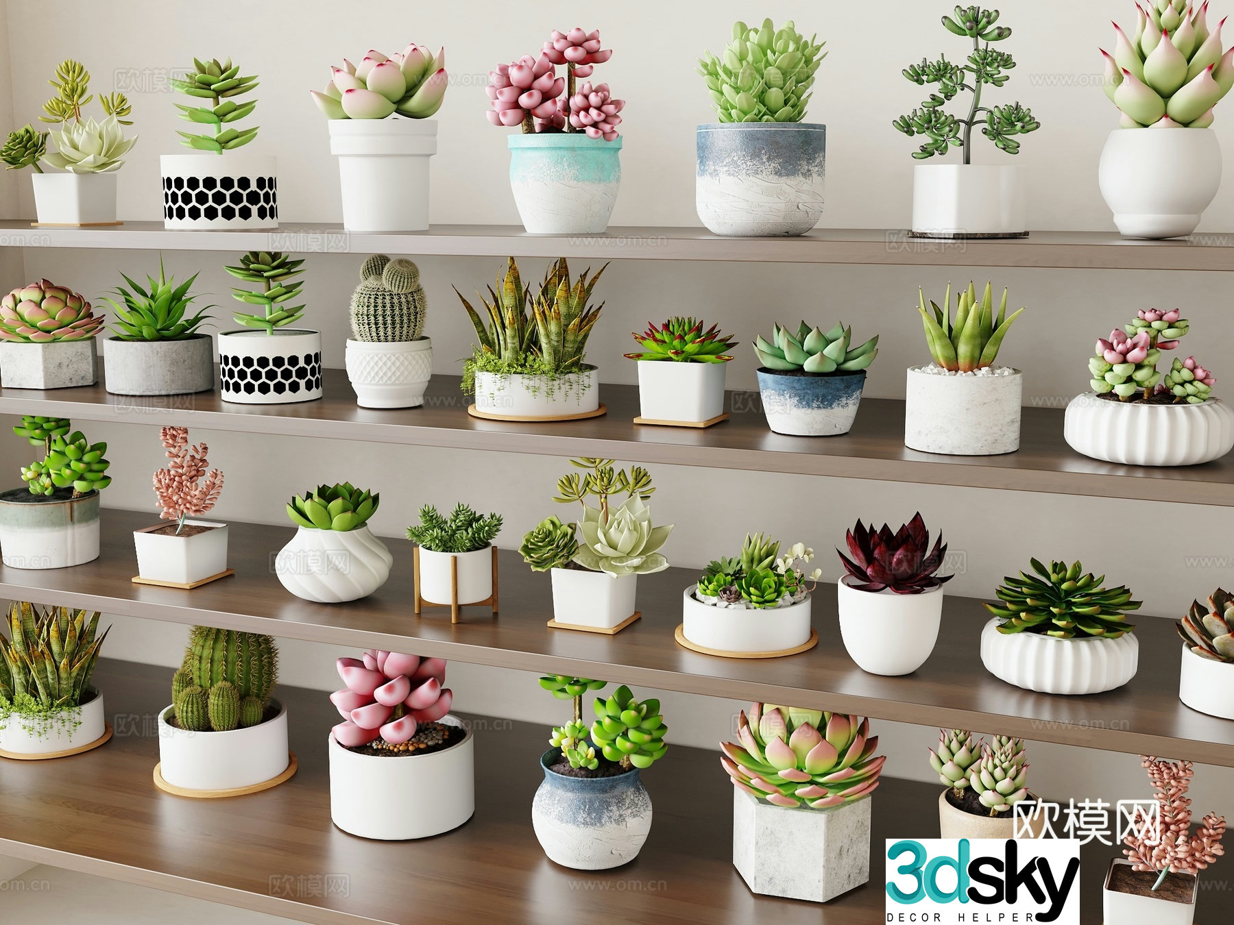 Modern plant potted plant succulent potted plant 3D model
