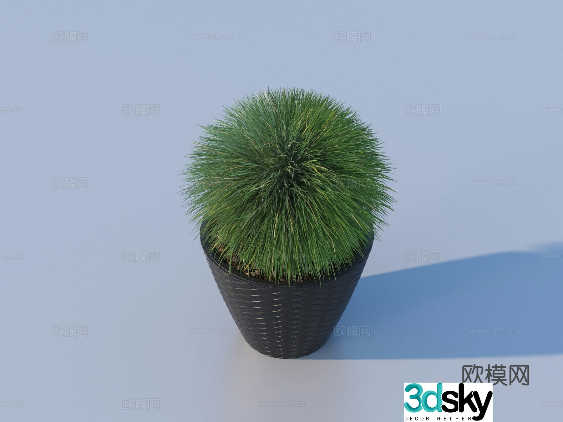 Flower pot pot green plants plant 3d model