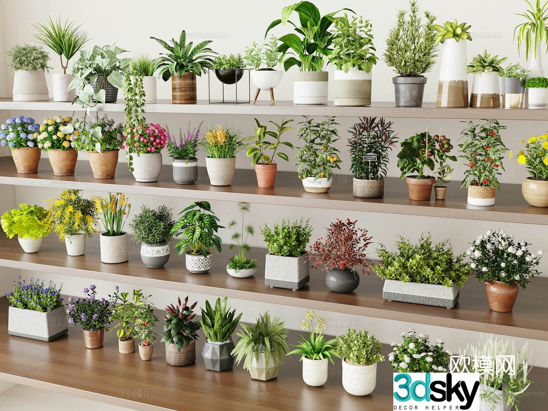 Modern plant potted plants Small potted plants 3D model