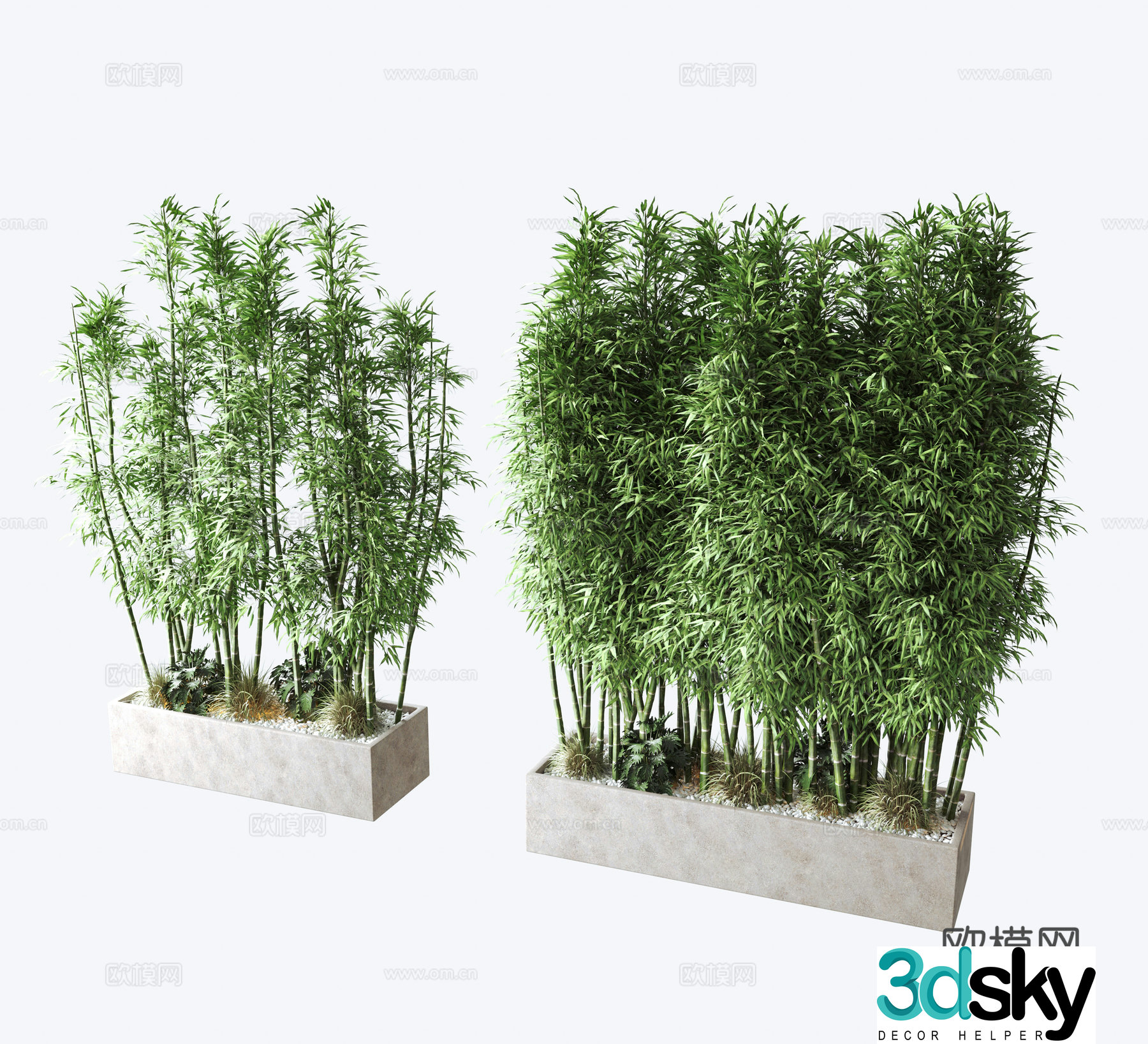 Plant green plant wall bamboo 3d model