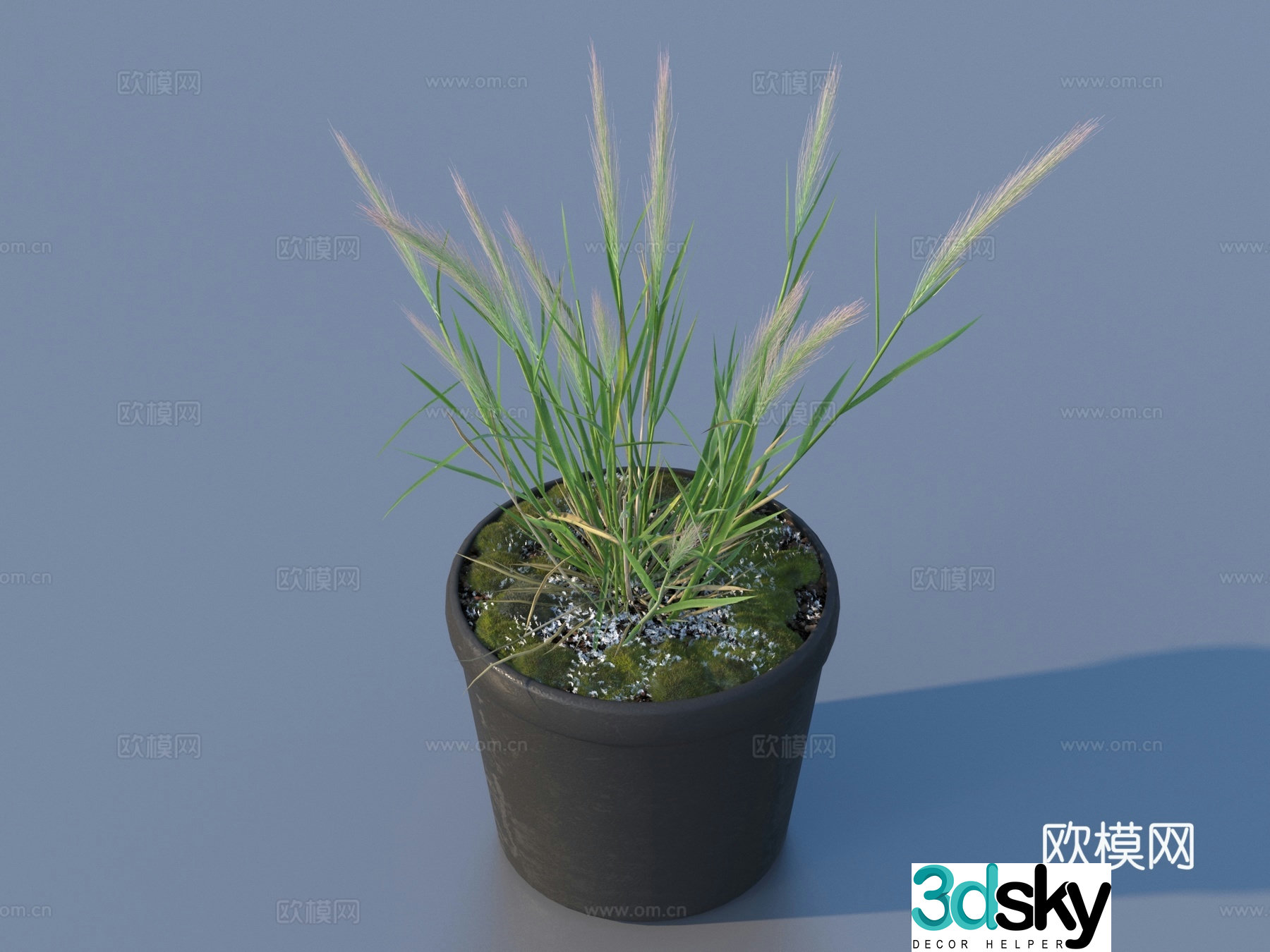 Flower pot pot green plants plant 3d model