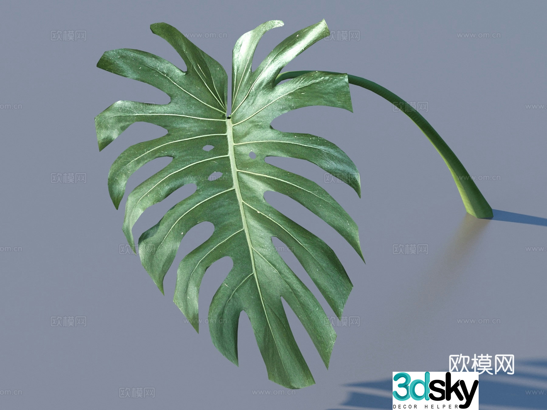 Vegetables and leaves leaves leaves 3D model