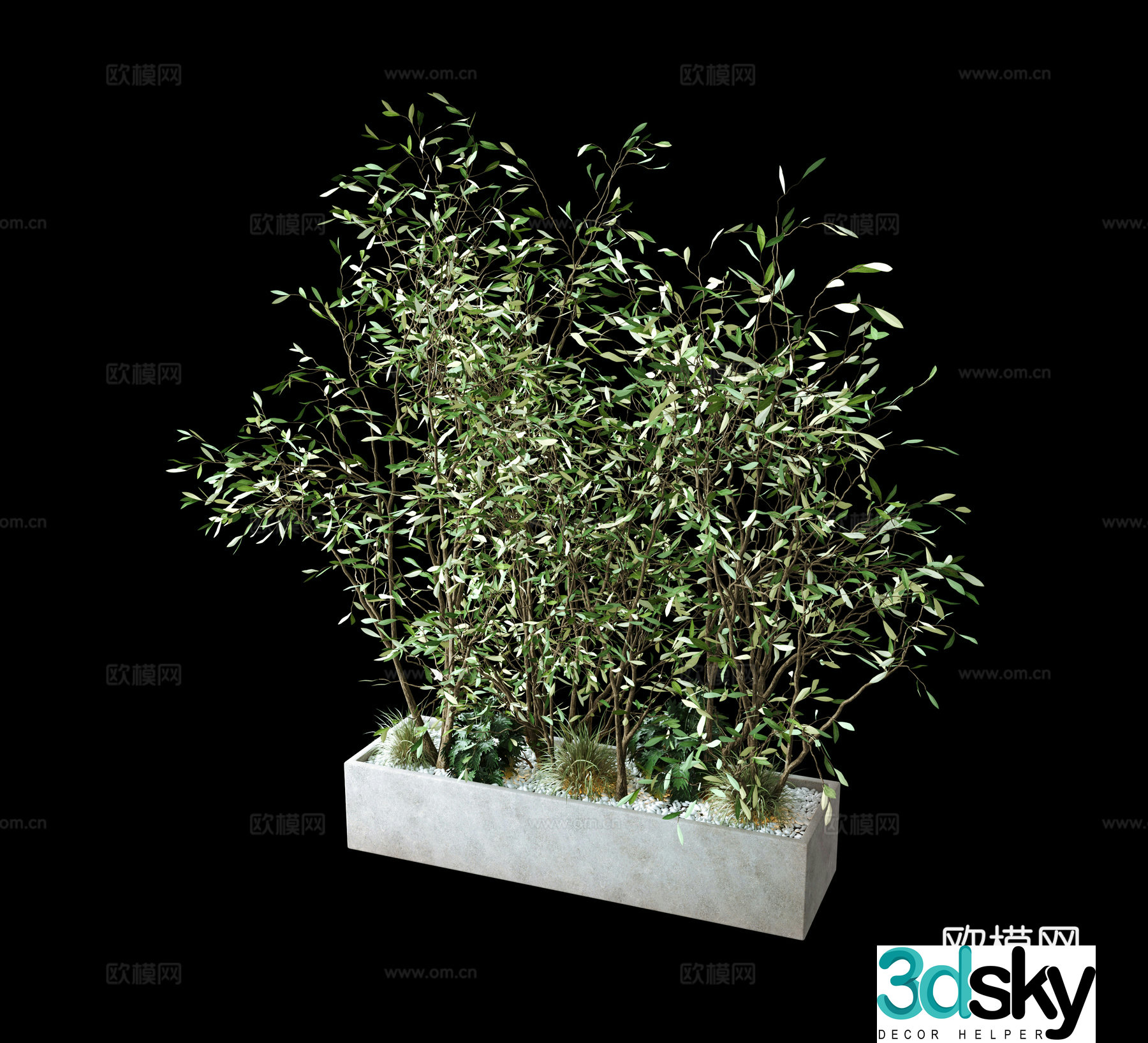 Plant green plant wall bamboo 3d model