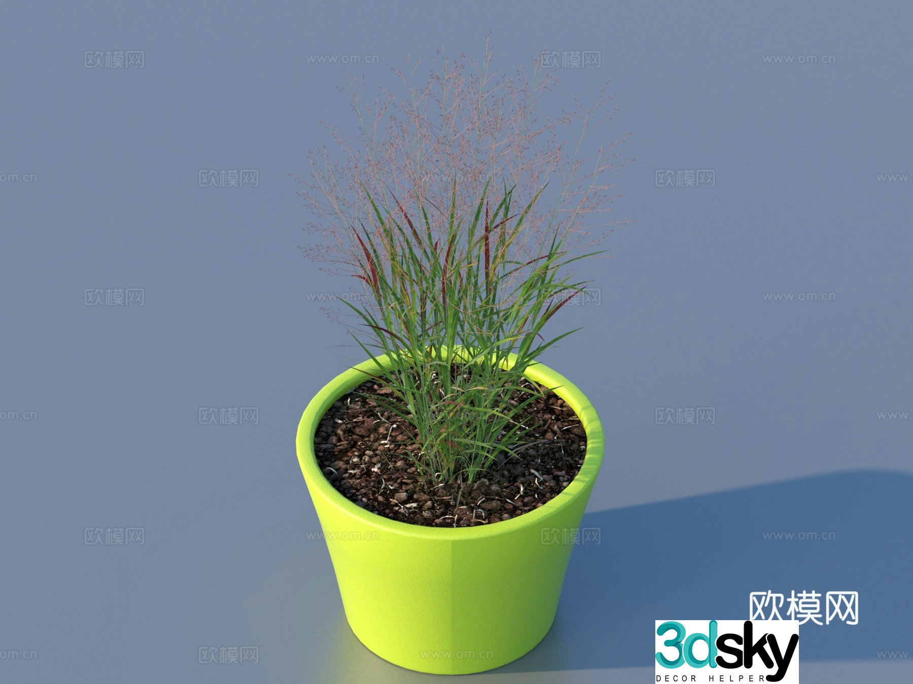 Flower pot pot green plants plant 3d model