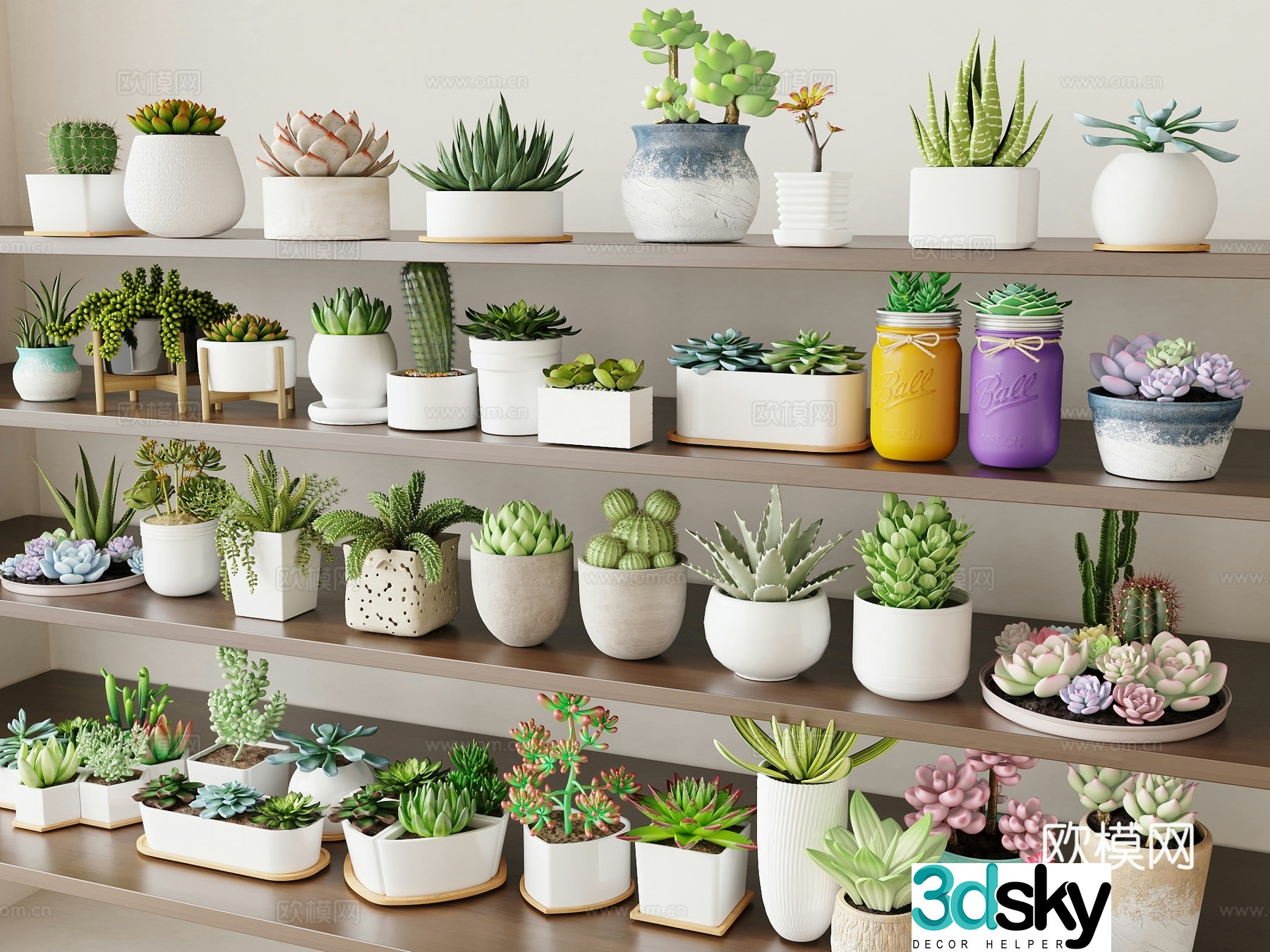 Plant potted plant succulent small potted plant 3D model