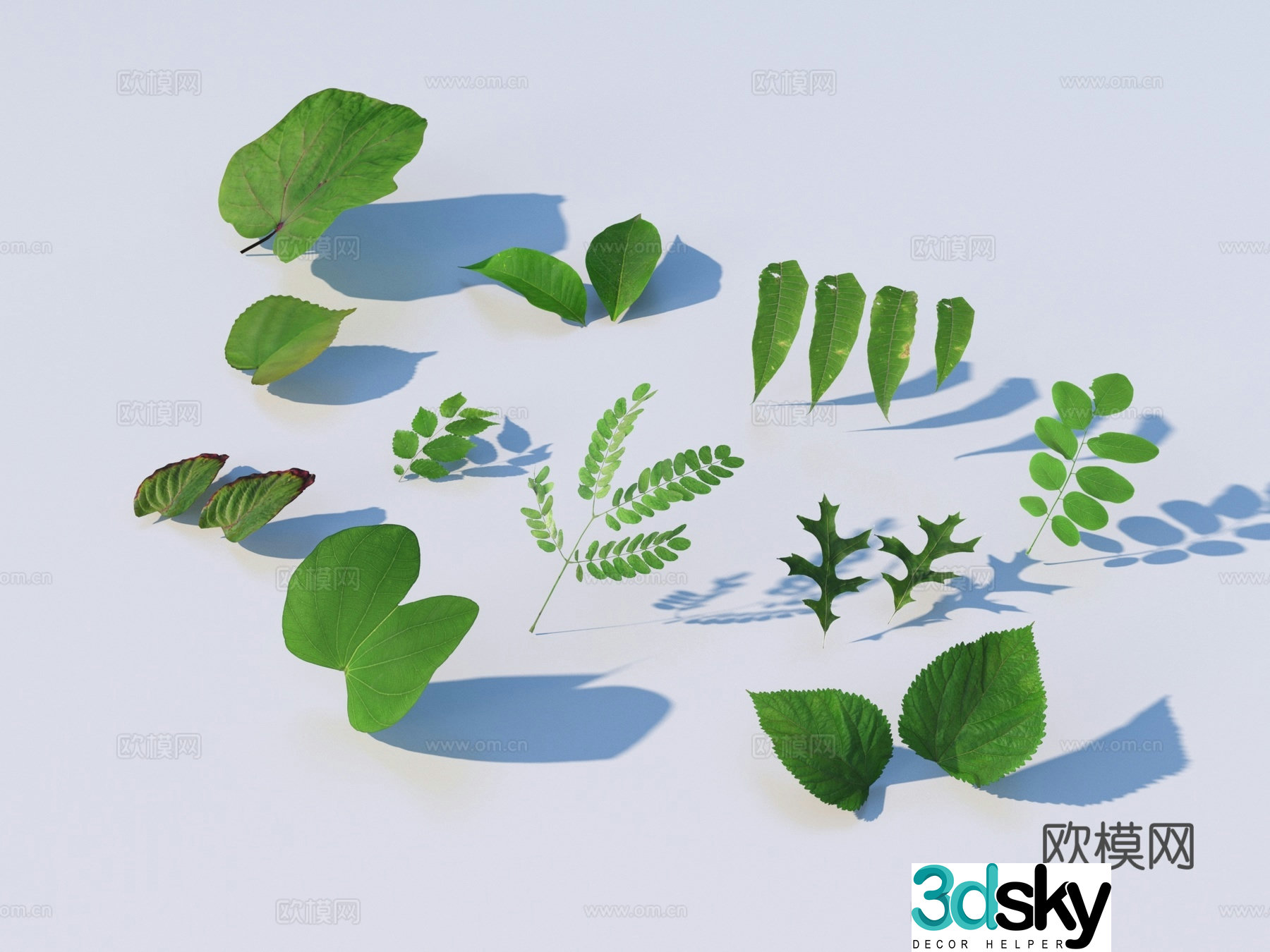 vegetables leaves leaves food 3d model